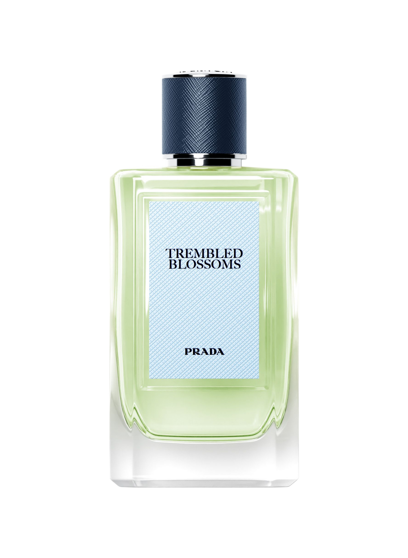 Olfactories Trembled Blossoms - Ein fesselndes und zartes Unisex-Chypre Eau de Parfum PRADA No color