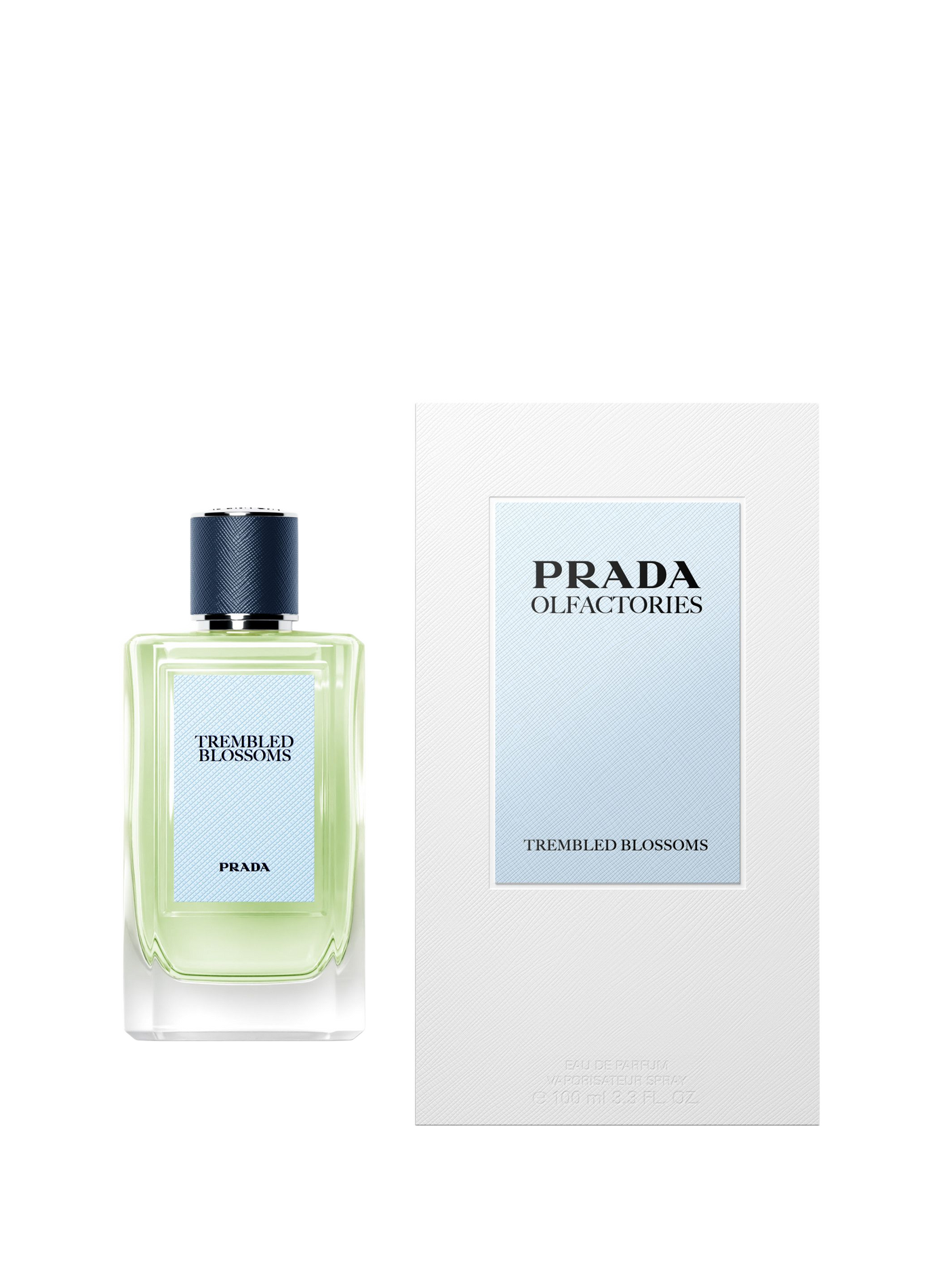 Olfactories Trembled Blossoms - Ein fesselndes und zartes Unisex-Chypre Eau de Parfum PRADA No color