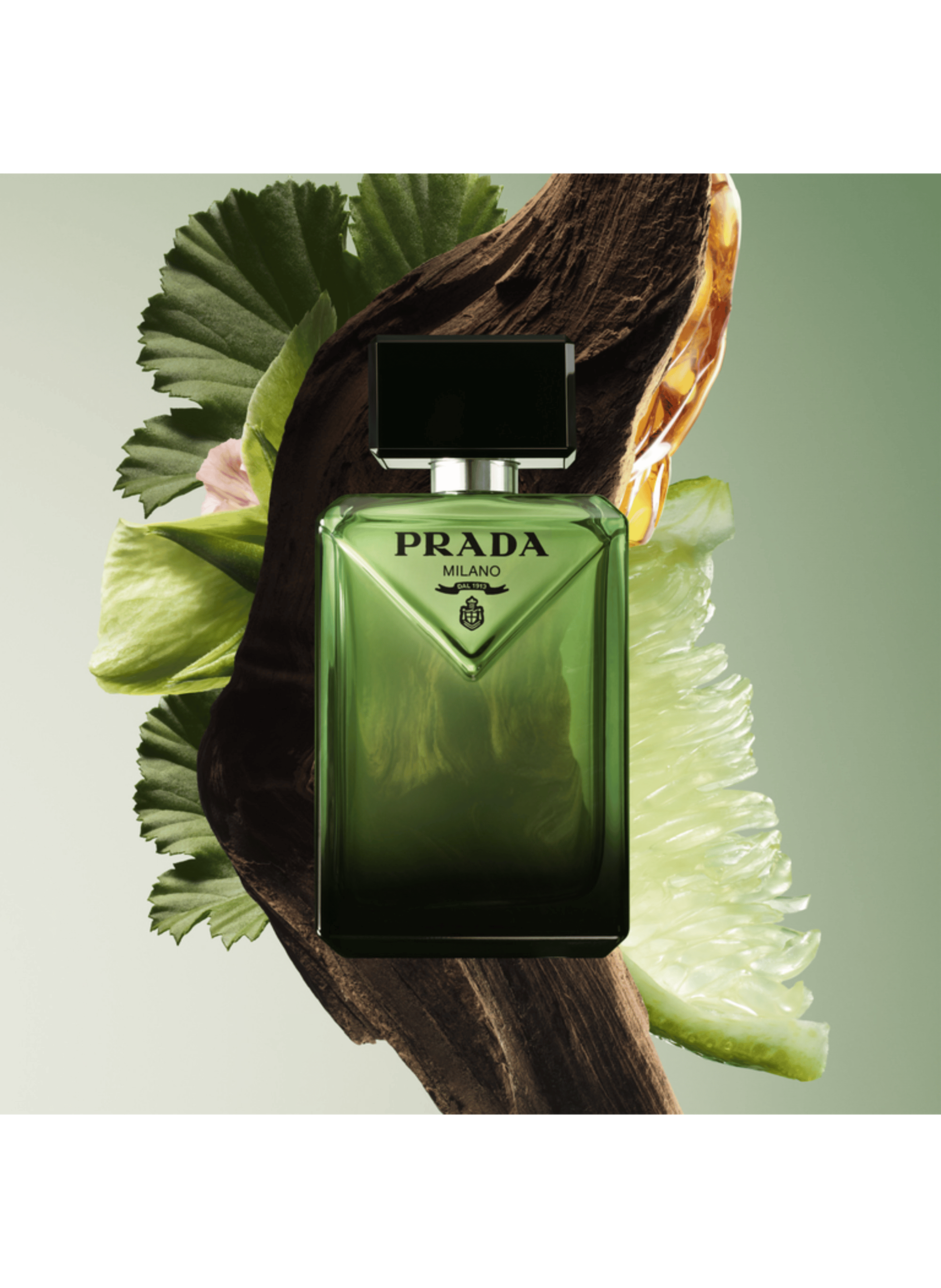 Paradigme Eau de Parfum - boisée ambrée Rechargeable PRADA No color