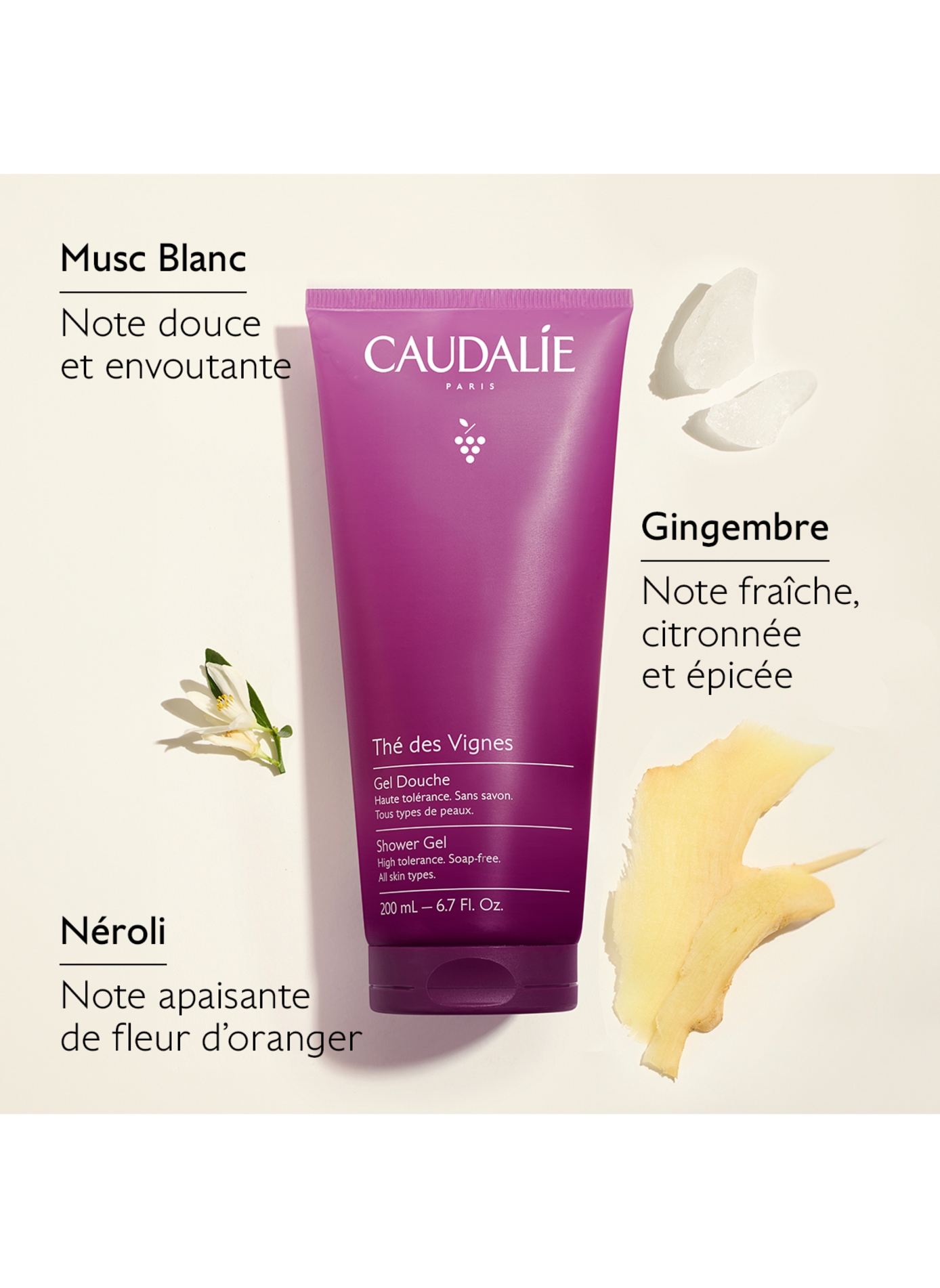 Coffret Corps Thé des Vignes - Noël 2026 CAUDALIE No color