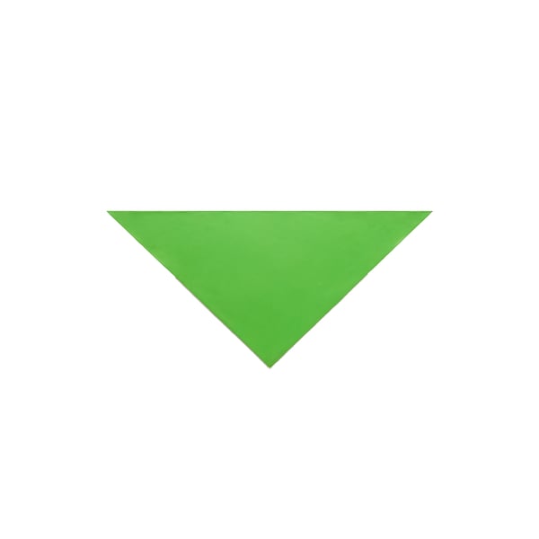 Bandana Stevie en soie