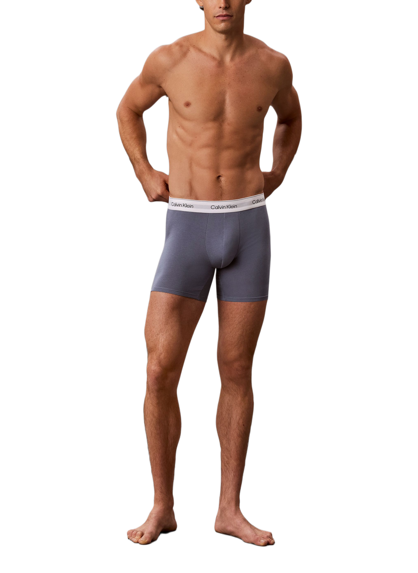 Boxershorts mit Logo aus Baumwollmischung CALVIN KLEIN Grau