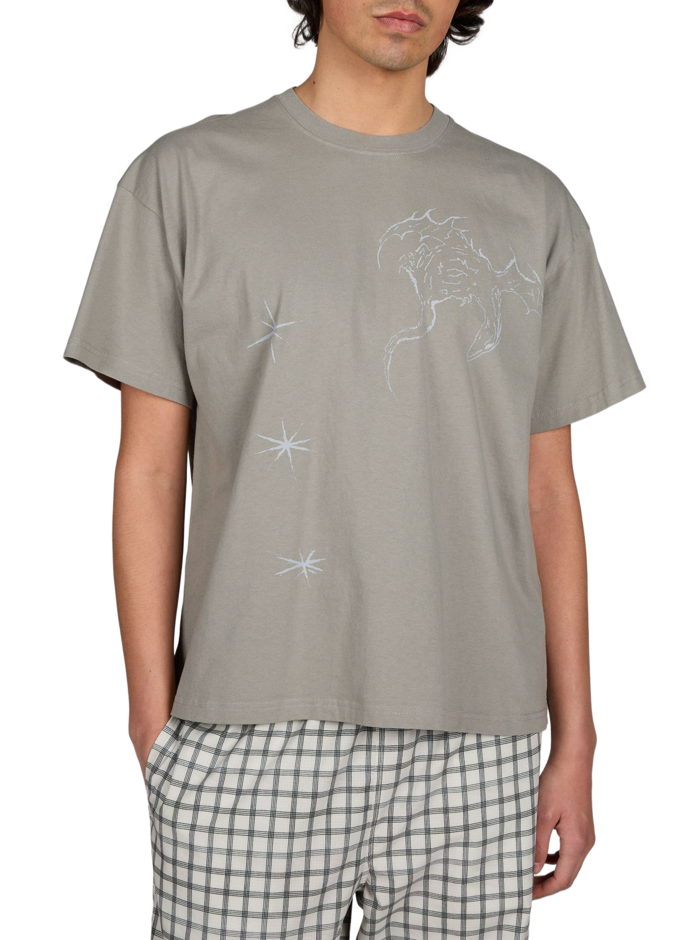 T-shirt diritto in cotone ROA Grigio