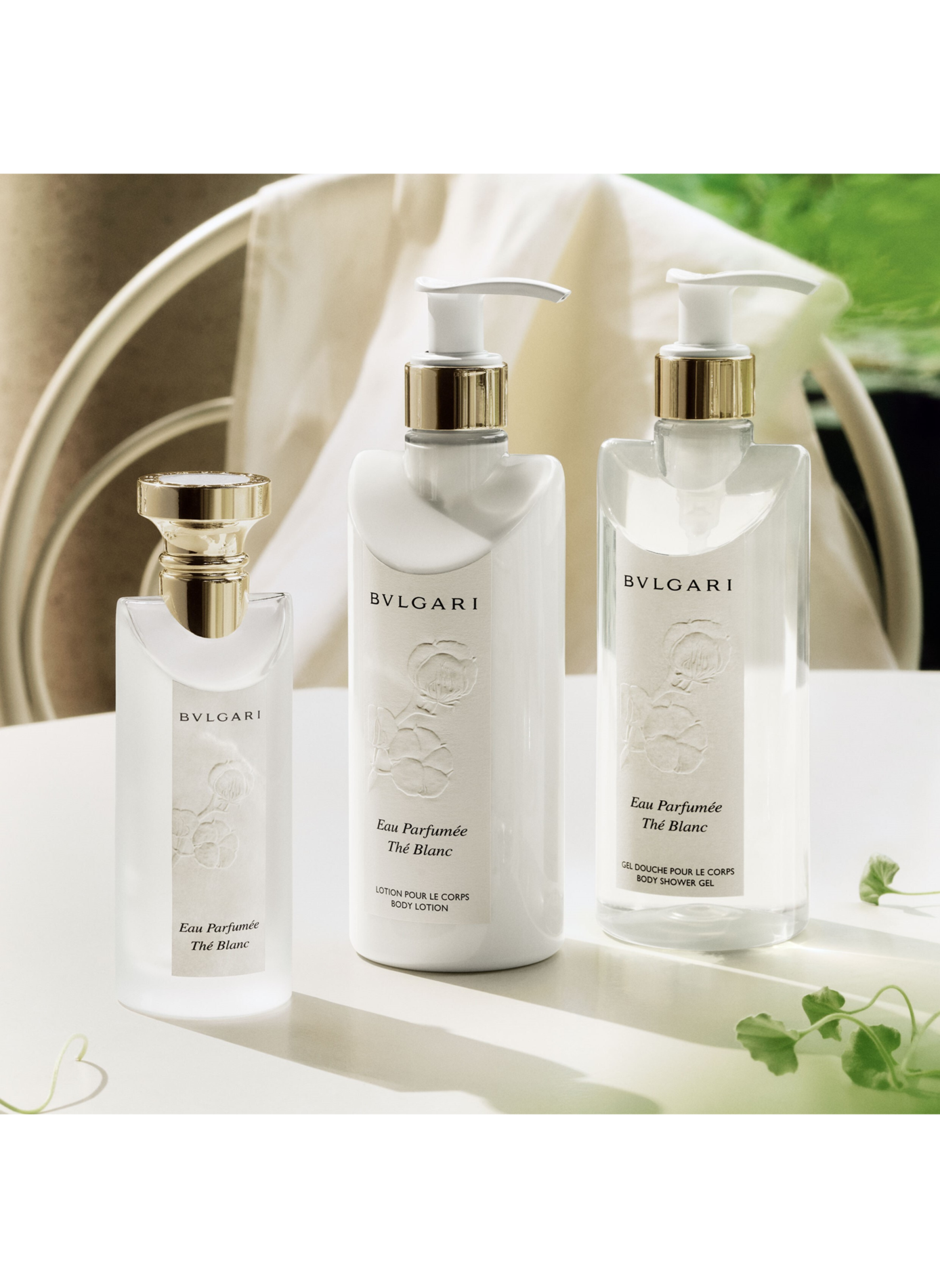 Eau Parfumée Thé Blanc Coffret - Eau de Toilette BVLGARI No color