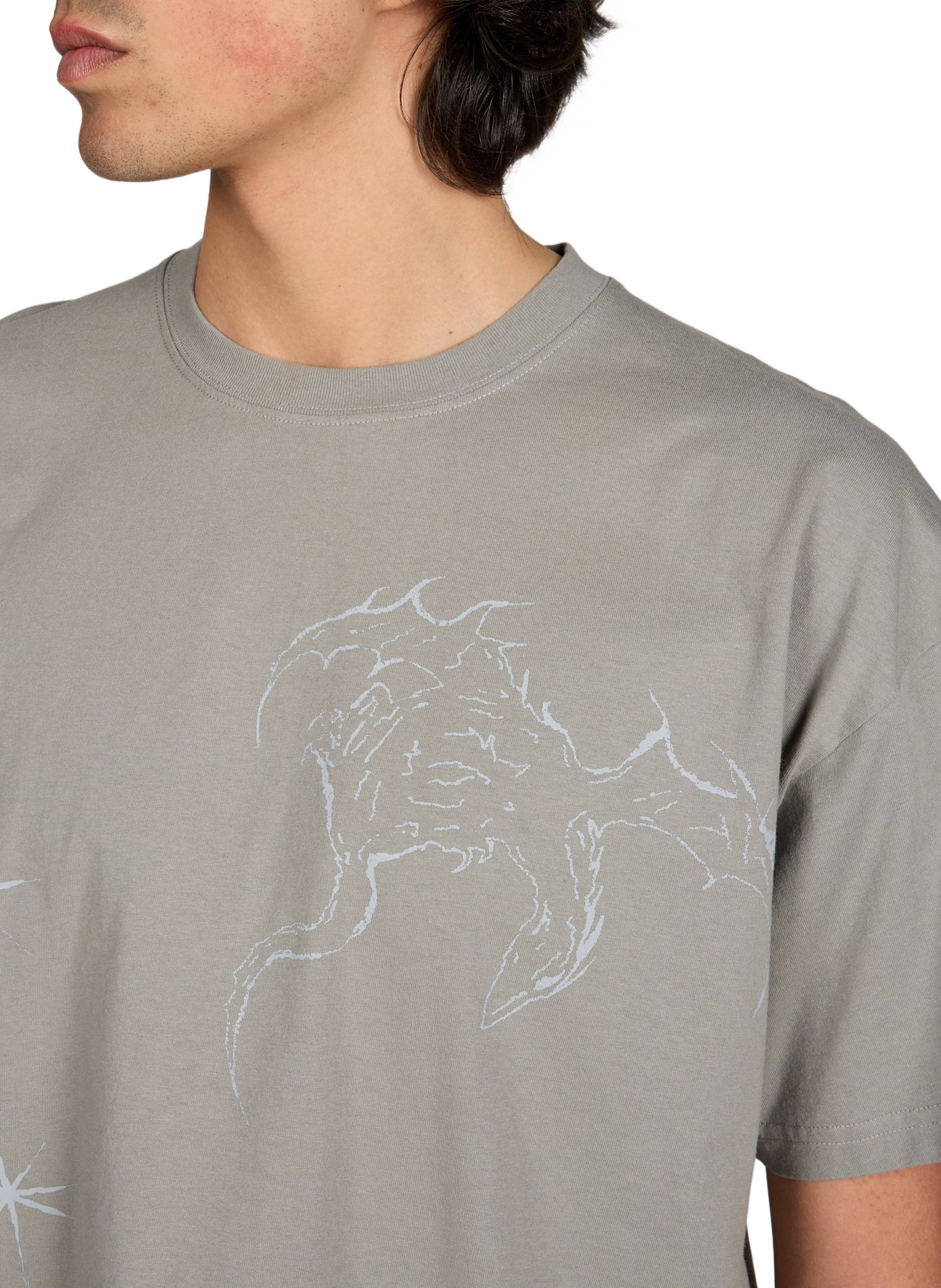 T-shirt diritto in cotone ROA Grigio