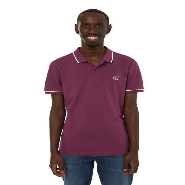 Calvin Klein Cotton Polo Shirt In Purple