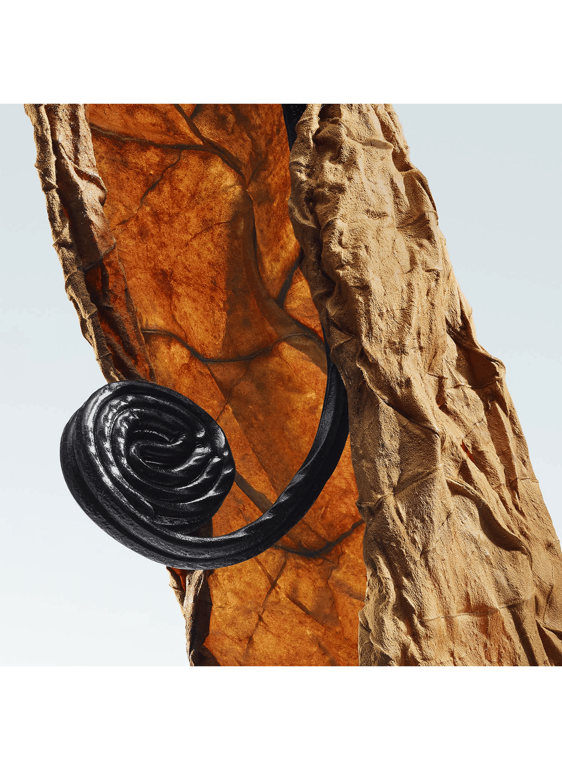 Havana Gold - Eau de Parfum DRIES VAN NOTEN No color