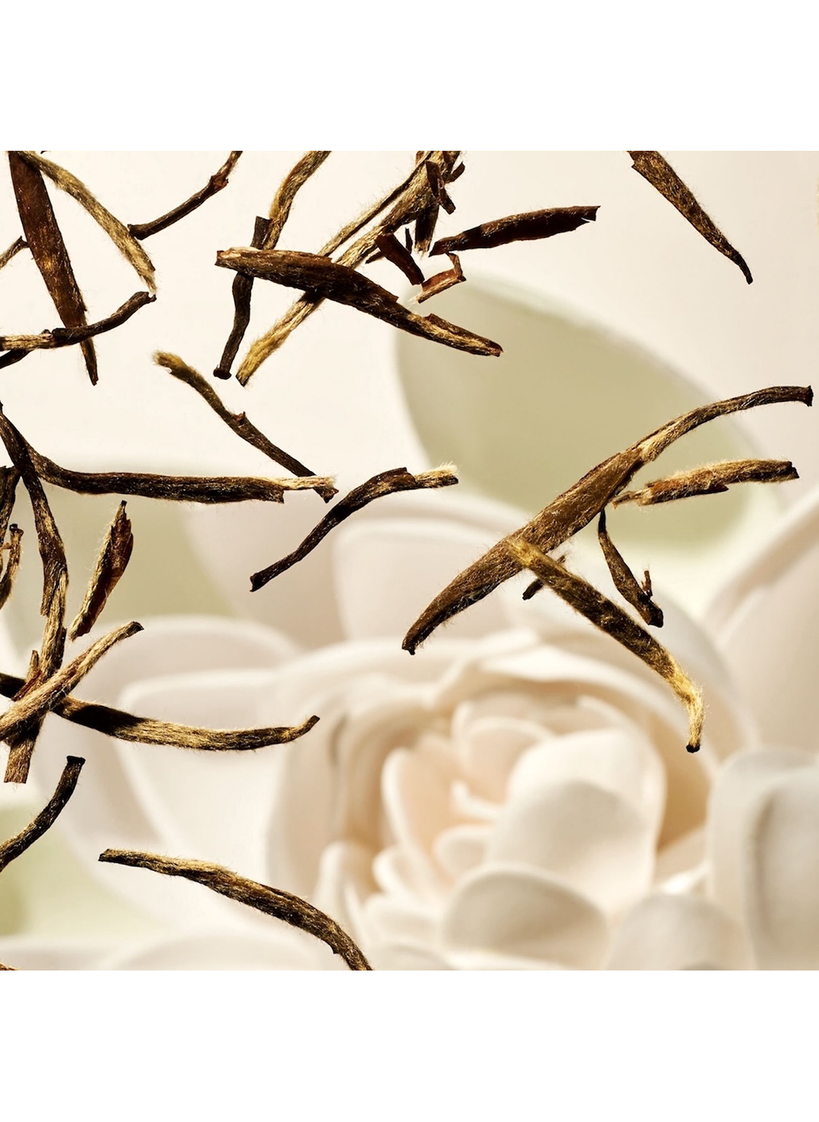 The Ritual Of Karma - Coffret Ressourçant M 2025 RITUALS No color