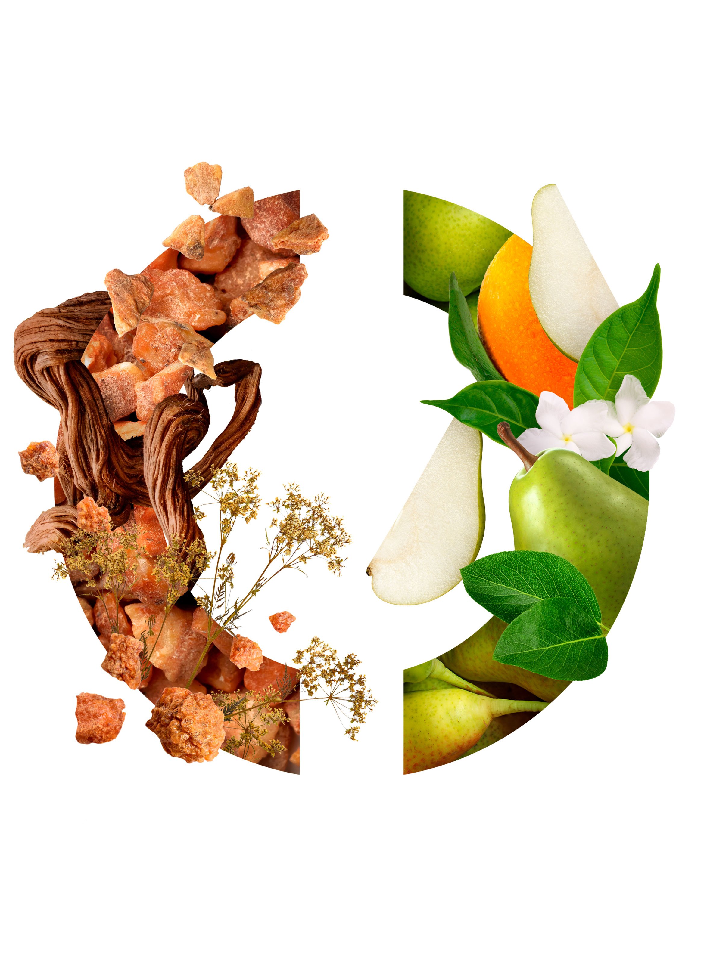 Eau de Parfum - Infini CARON No color