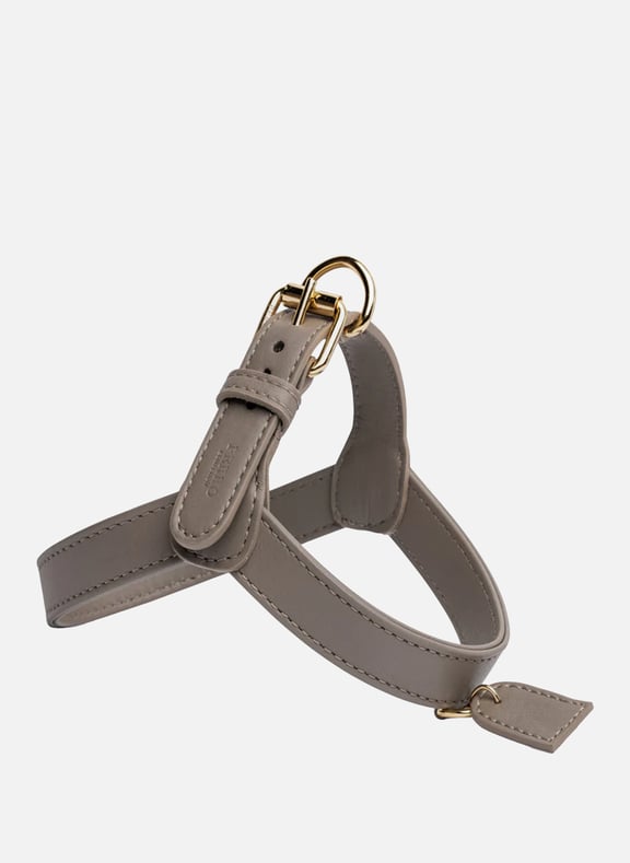 Leather Harness S+ PERRO COLLECTION Leather Harness S+ PERRO COLLECTION