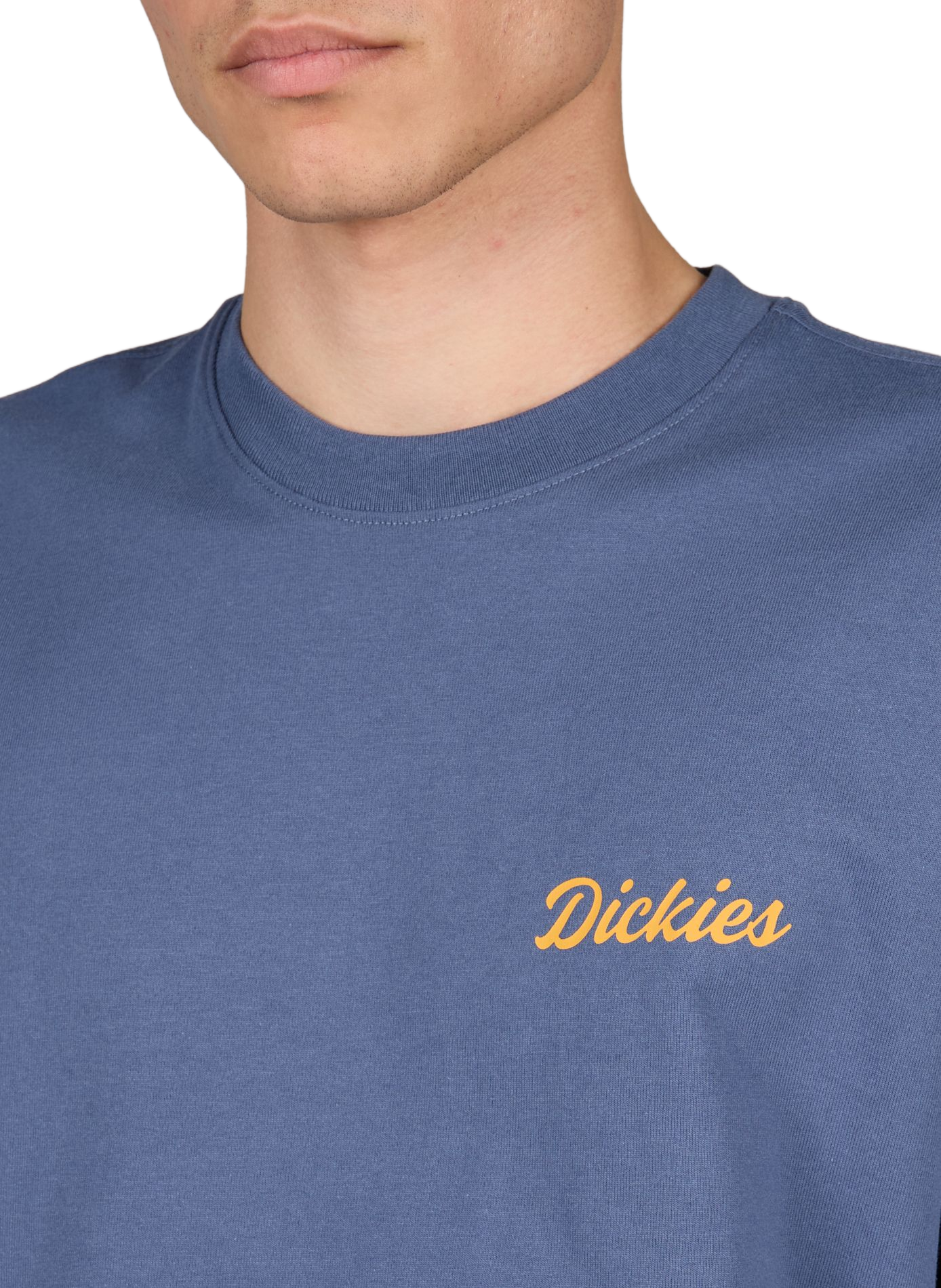 Straight printed cotton t-shirt DICKIES Blue