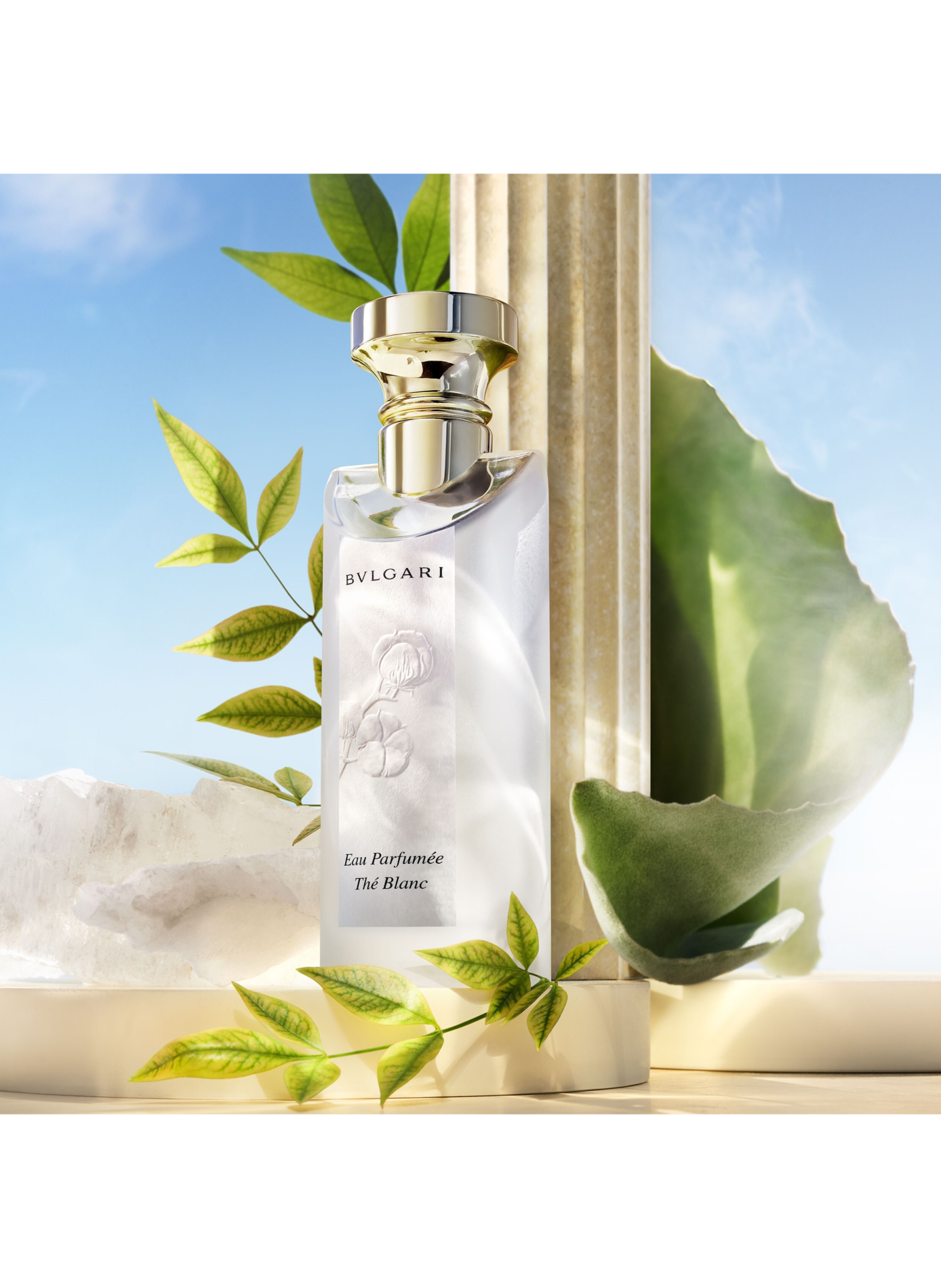 Eau Parfumée Thé Blanc Coffret - Eau de Toilette BVLGARI No color