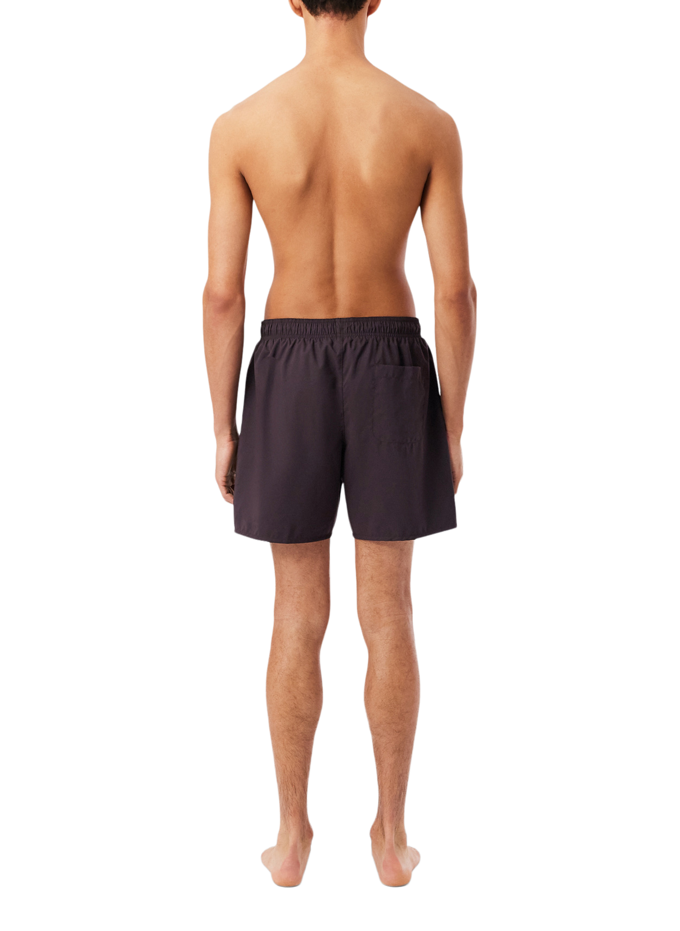Recycled polyester swim shorts LACOSTE Brown