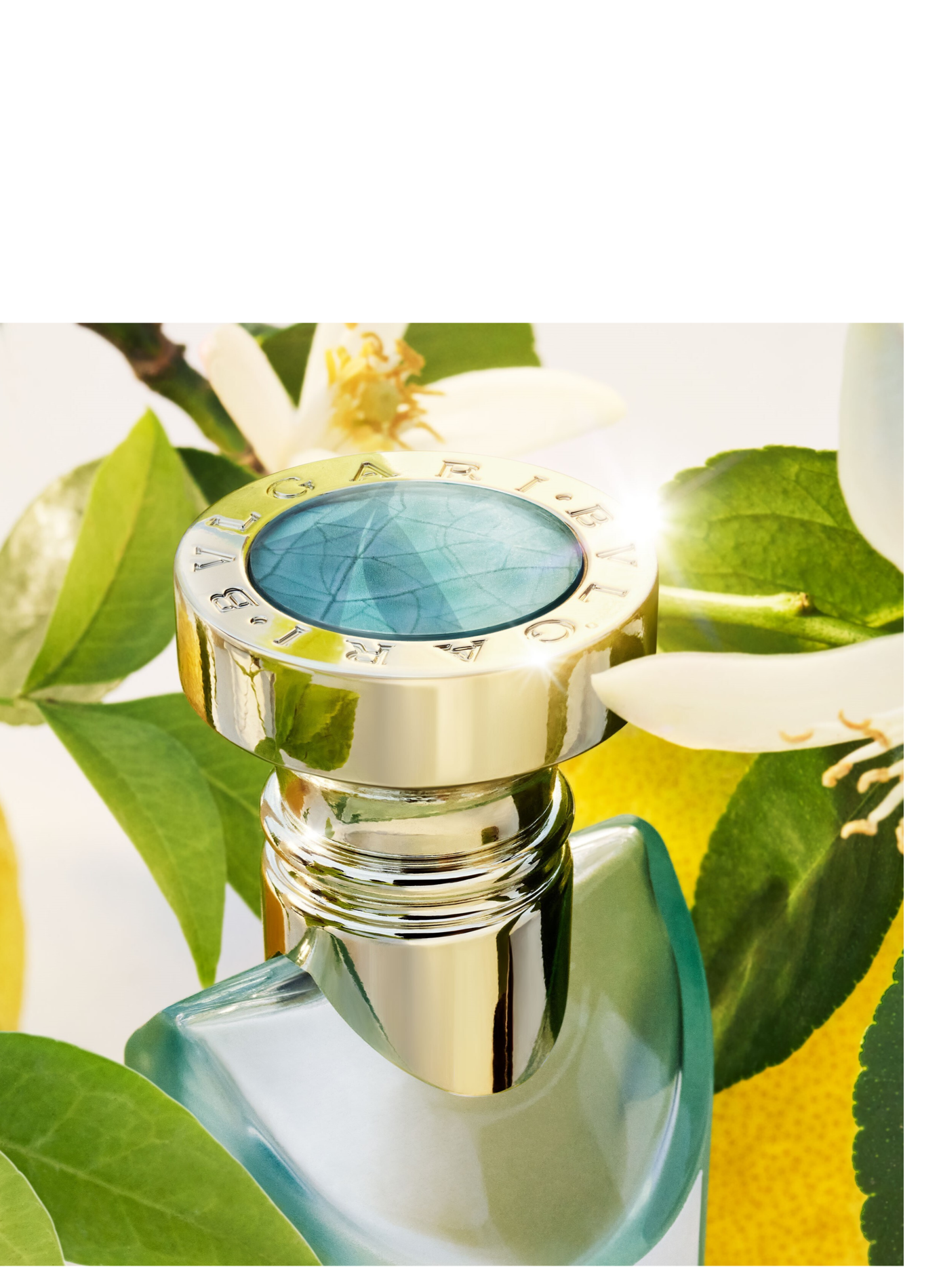 Eau Parfumée Thé Vert Coffret - Eau de Toilette BVLGARI No color