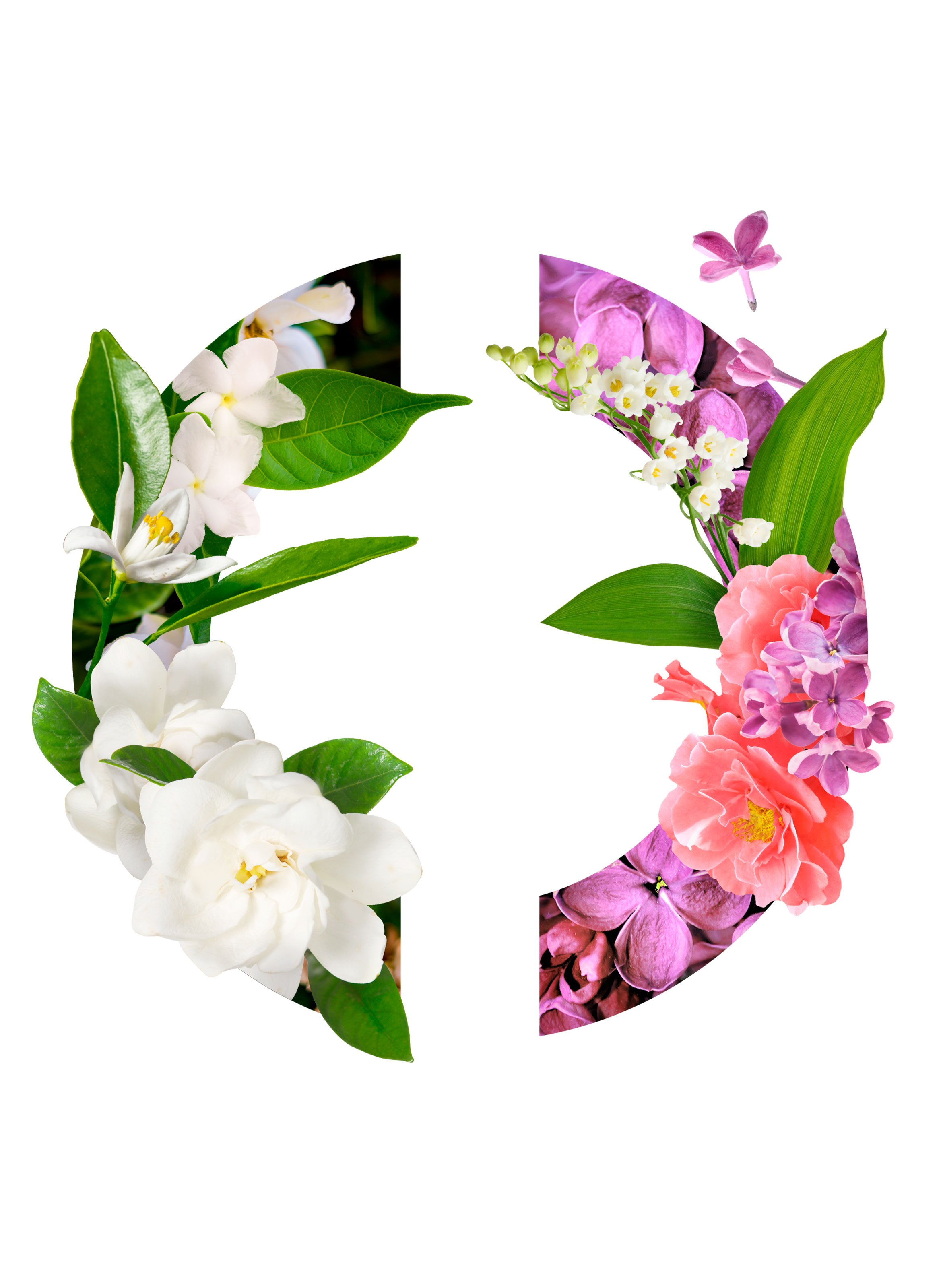 Fleur de Rocaille - Eau de parfum CARON No color