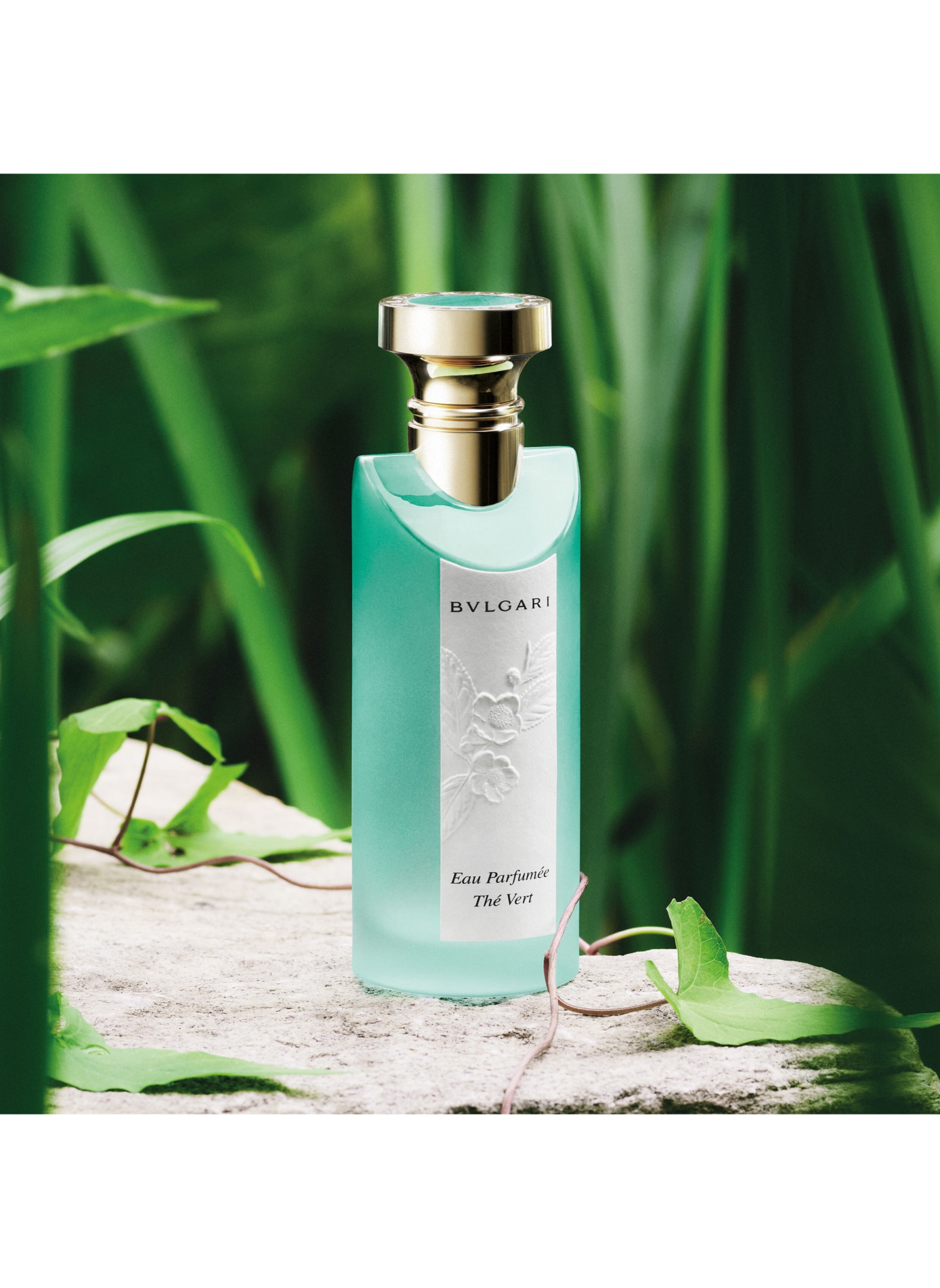Eau Parfumée Thé Vert Coffret - Eau de Toilette BVLGARI No color
