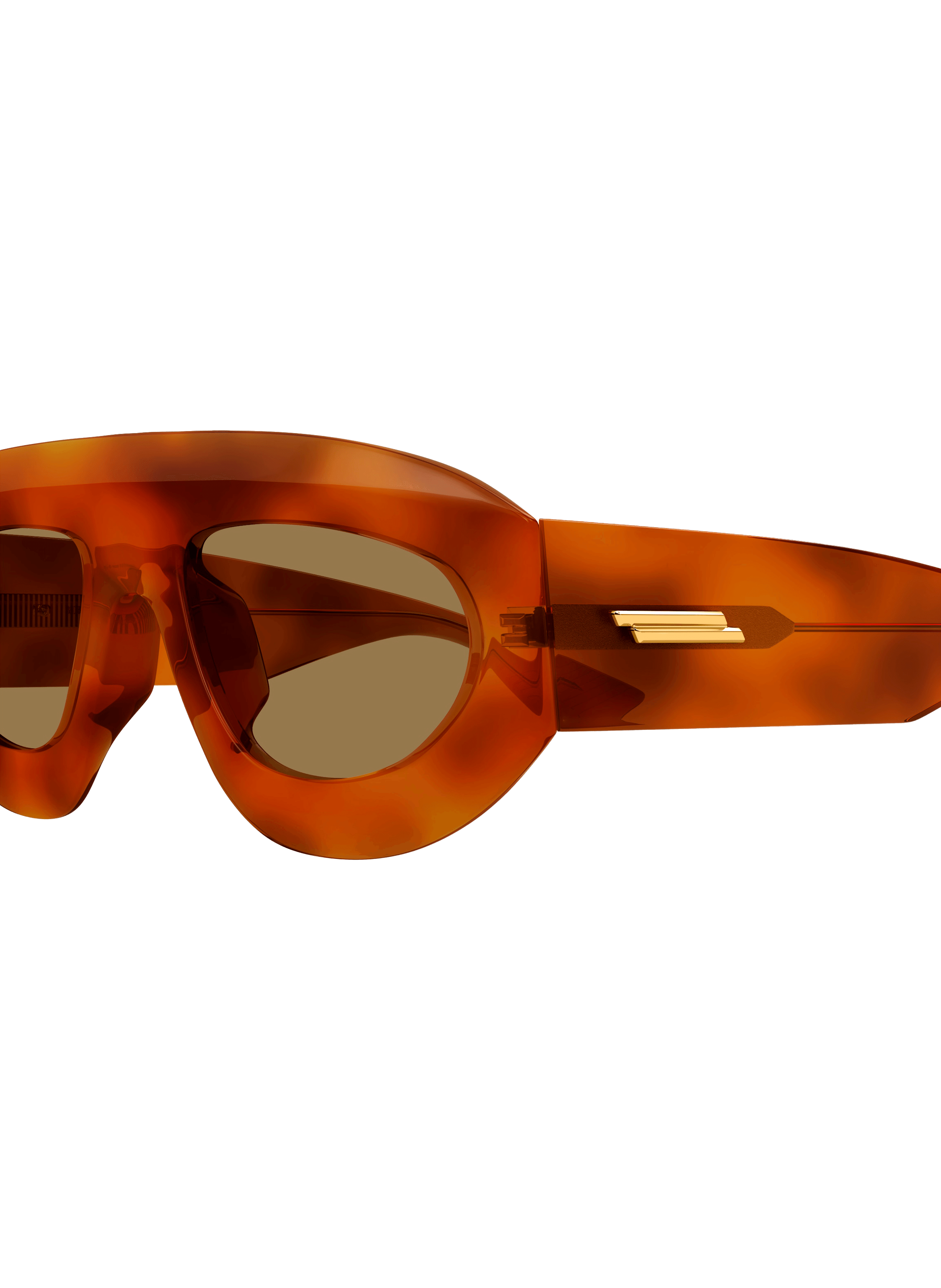  Sunglasses  BOTTEGA VENETA Multicolour