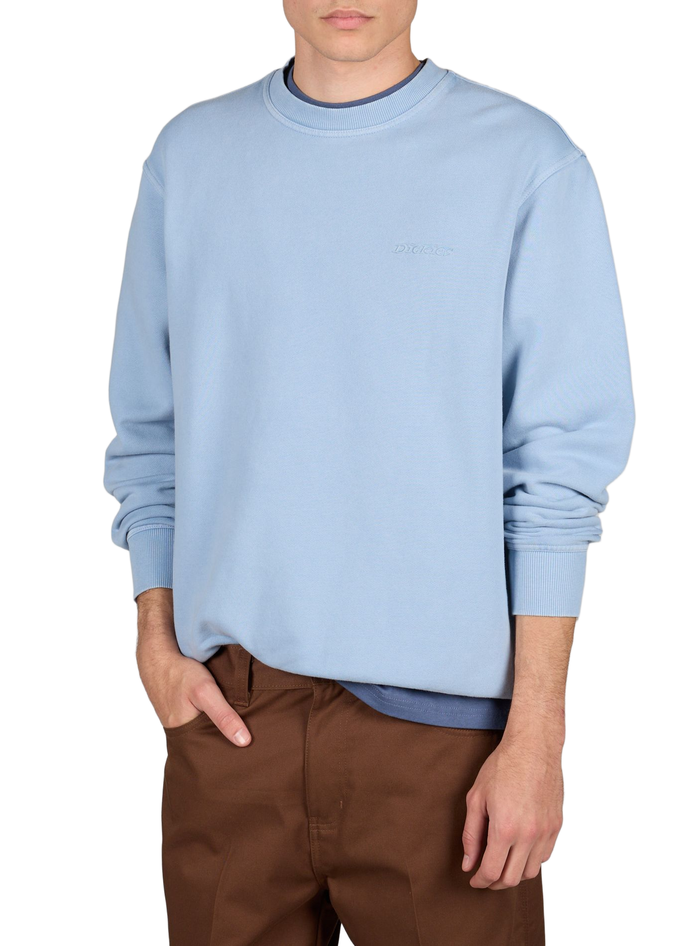 Plentyhood round neck sweatshirt in cotton DICKIES Blue