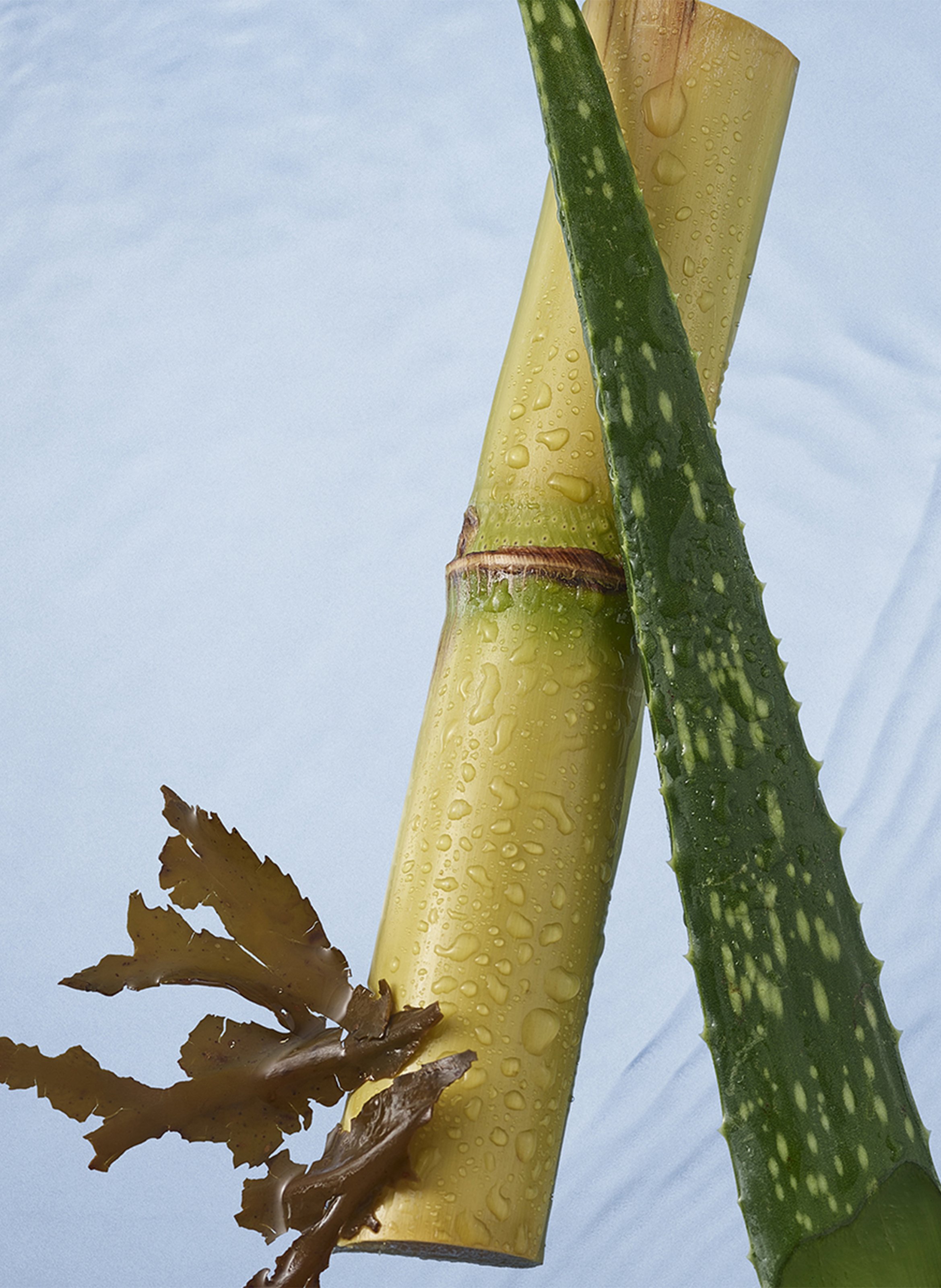 The Ritual of Karma - Body and Hair Mist RITUALS No color