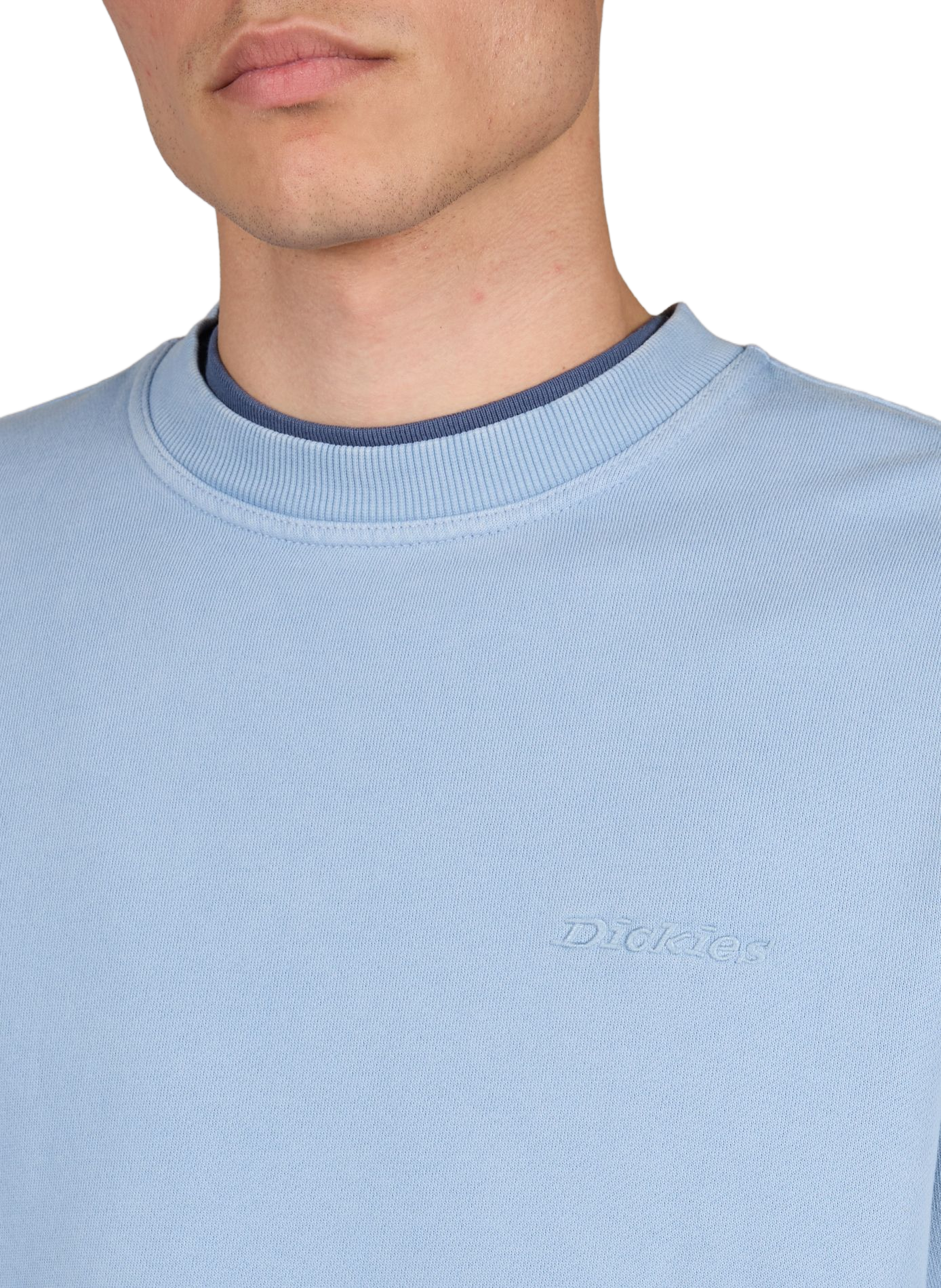 Plentyhood round neck sweatshirt in cotton DICKIES Blue