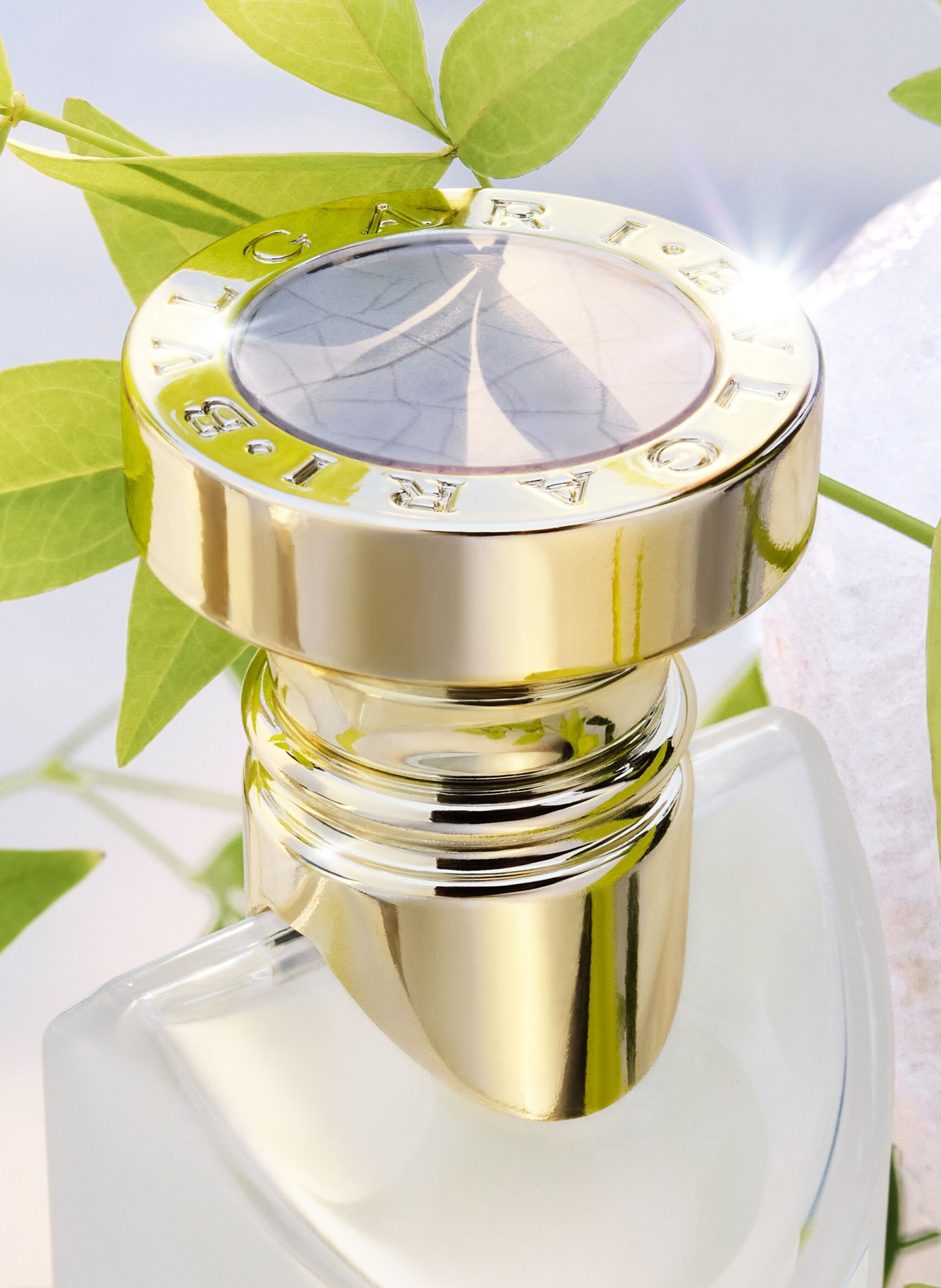 Eau Parfumée Thé Blanc Coffret - Eau de Toilette BVLGARI No color