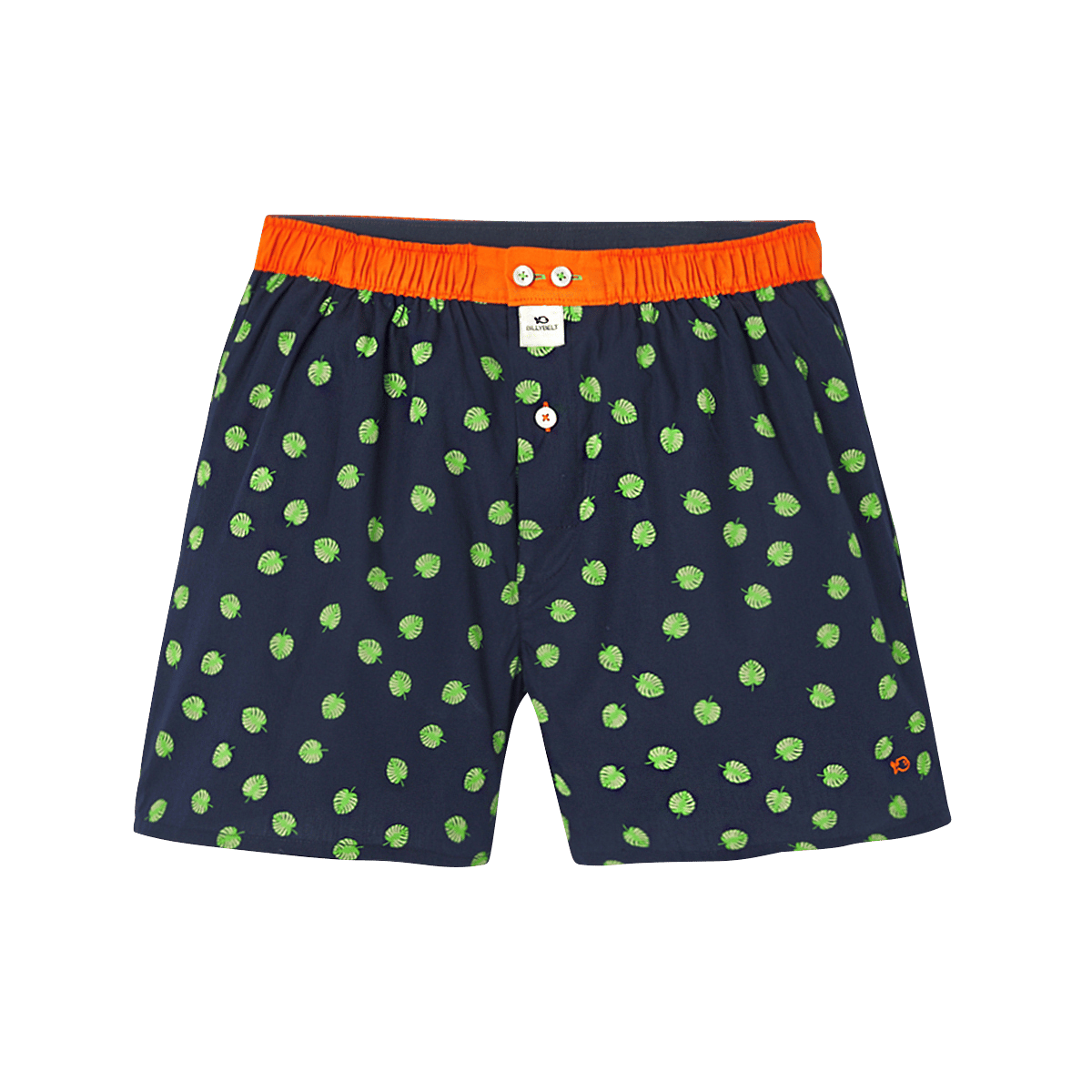 Caleçon en coton biologique BILLYBELT Bleu