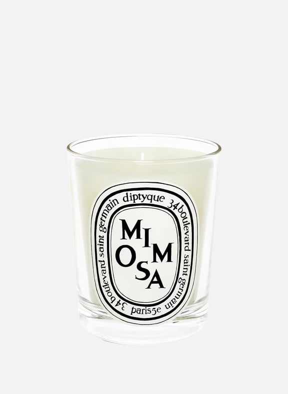 Classic Mimosa Candle by DIPTYQUE DIPTYQUE Classic Mimosa Candle