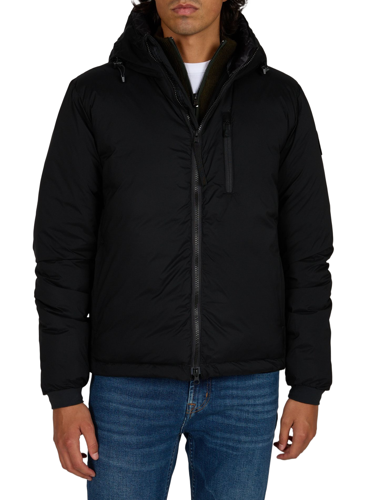 Korte gewatteerde donsjas CANADA GOOSE Zwart