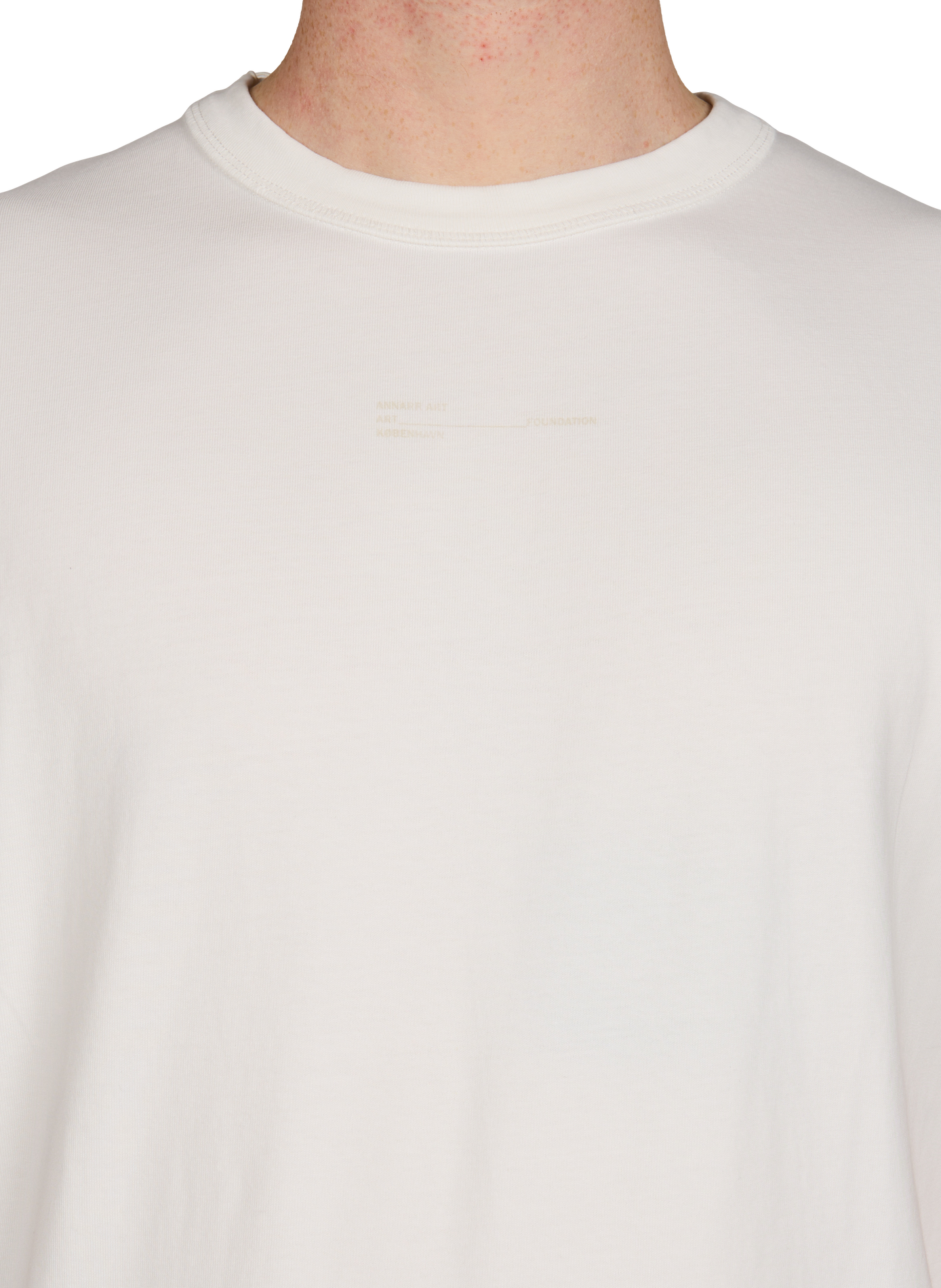 Round neck printed cotton T-shirt ANNARR Beige