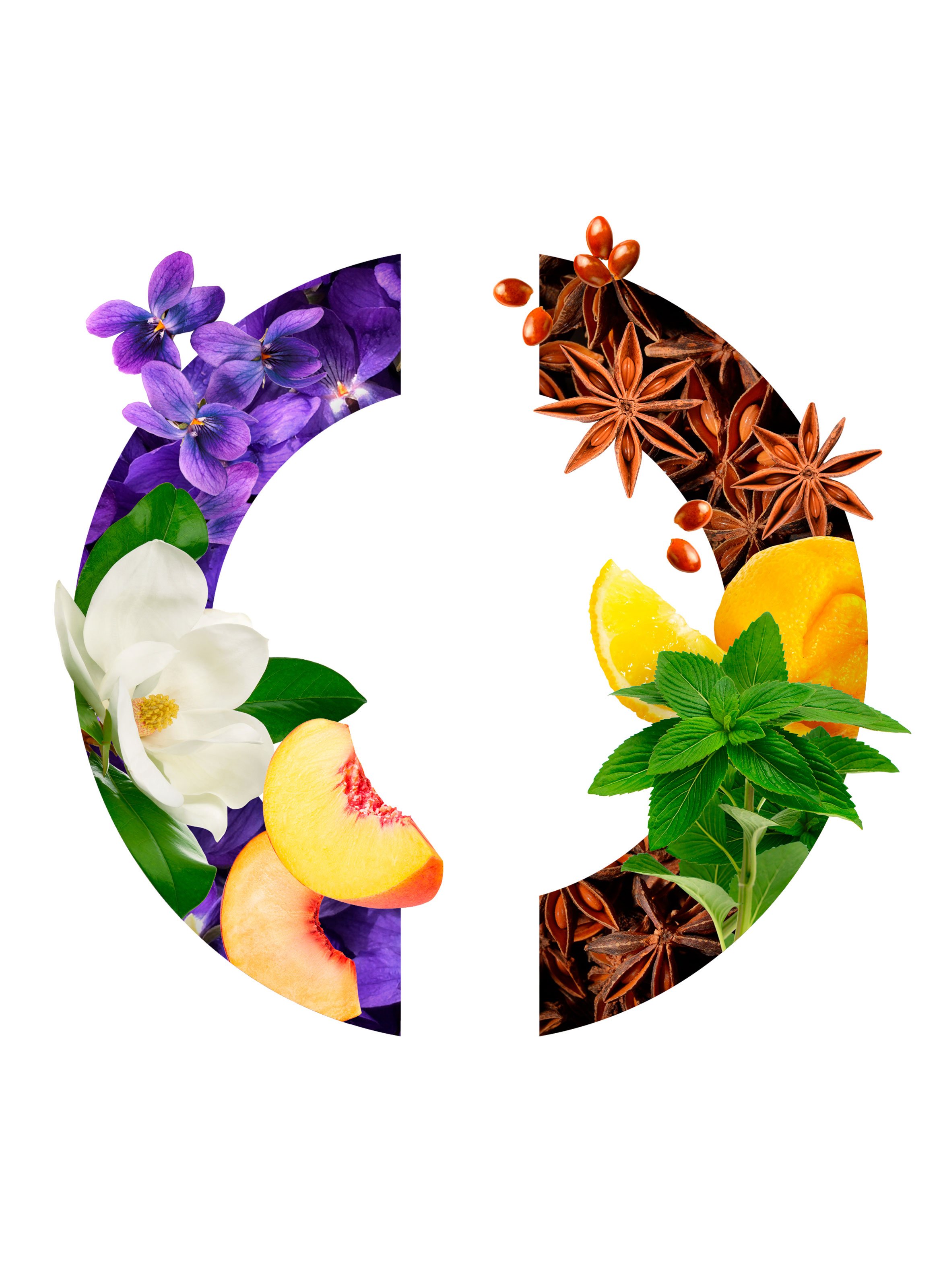 Eau de Toilette  - Aimez-Moi Comme Je Suis CARON No color