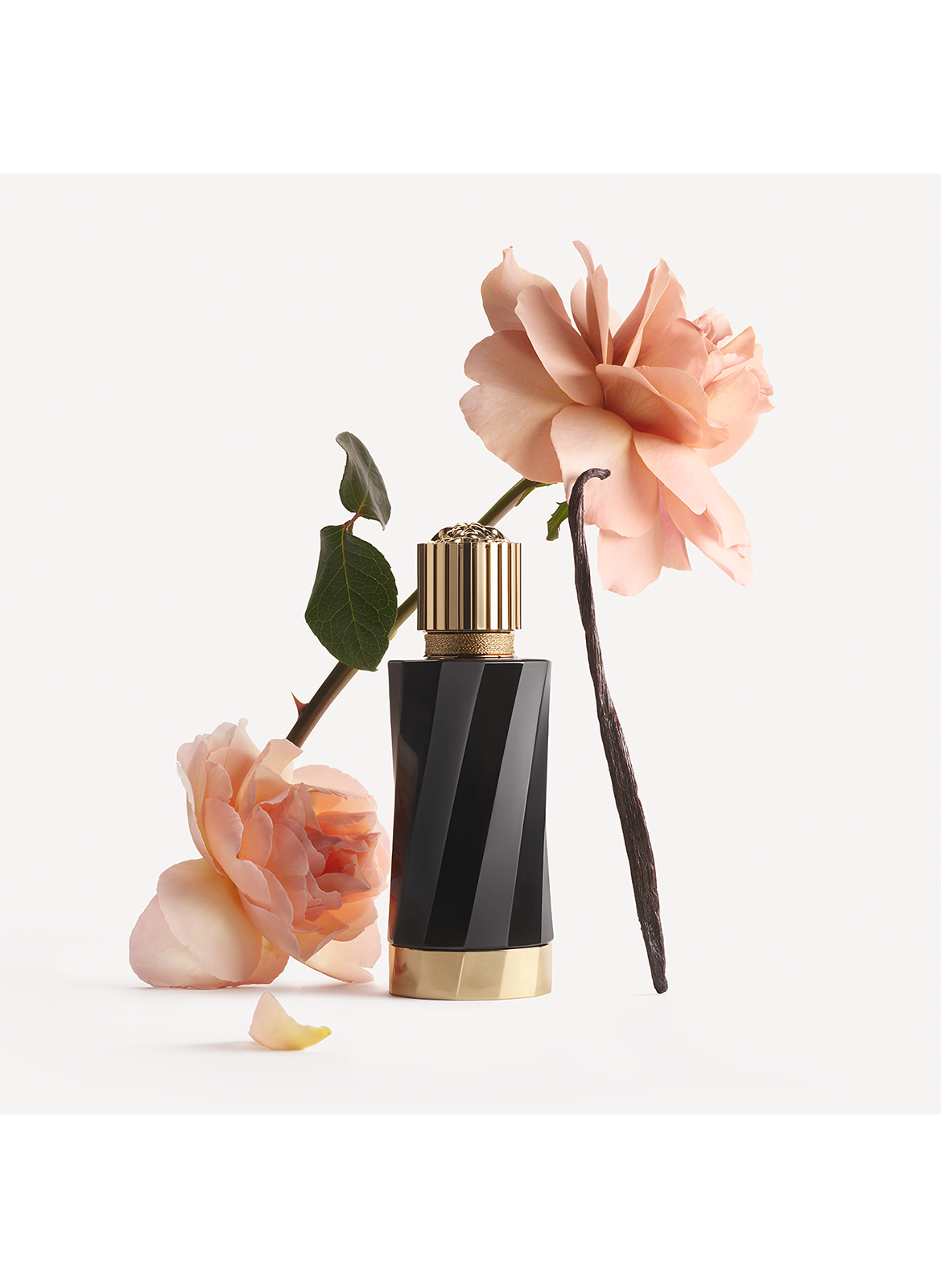 Atelier Versace Red Vanilla VERSACE No color