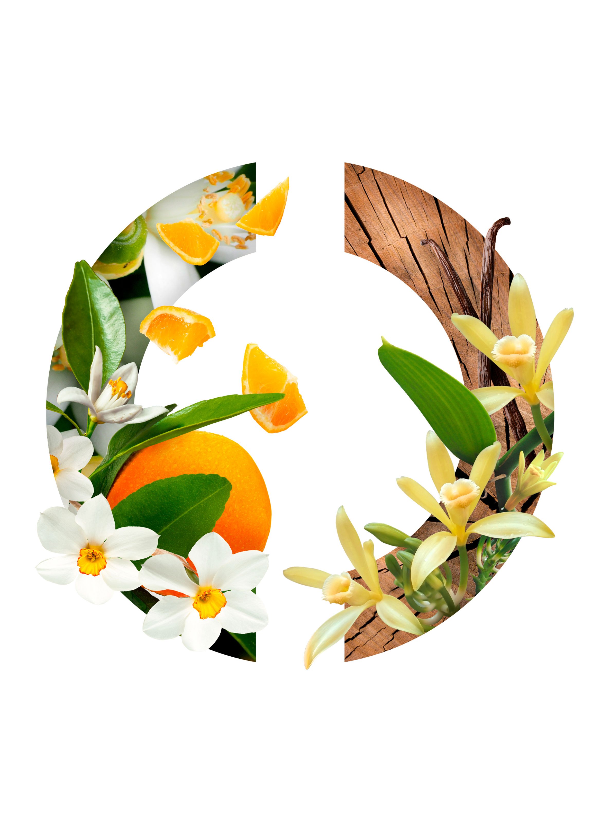 Eau de Parfum - Narcisse Blanc CARON No color