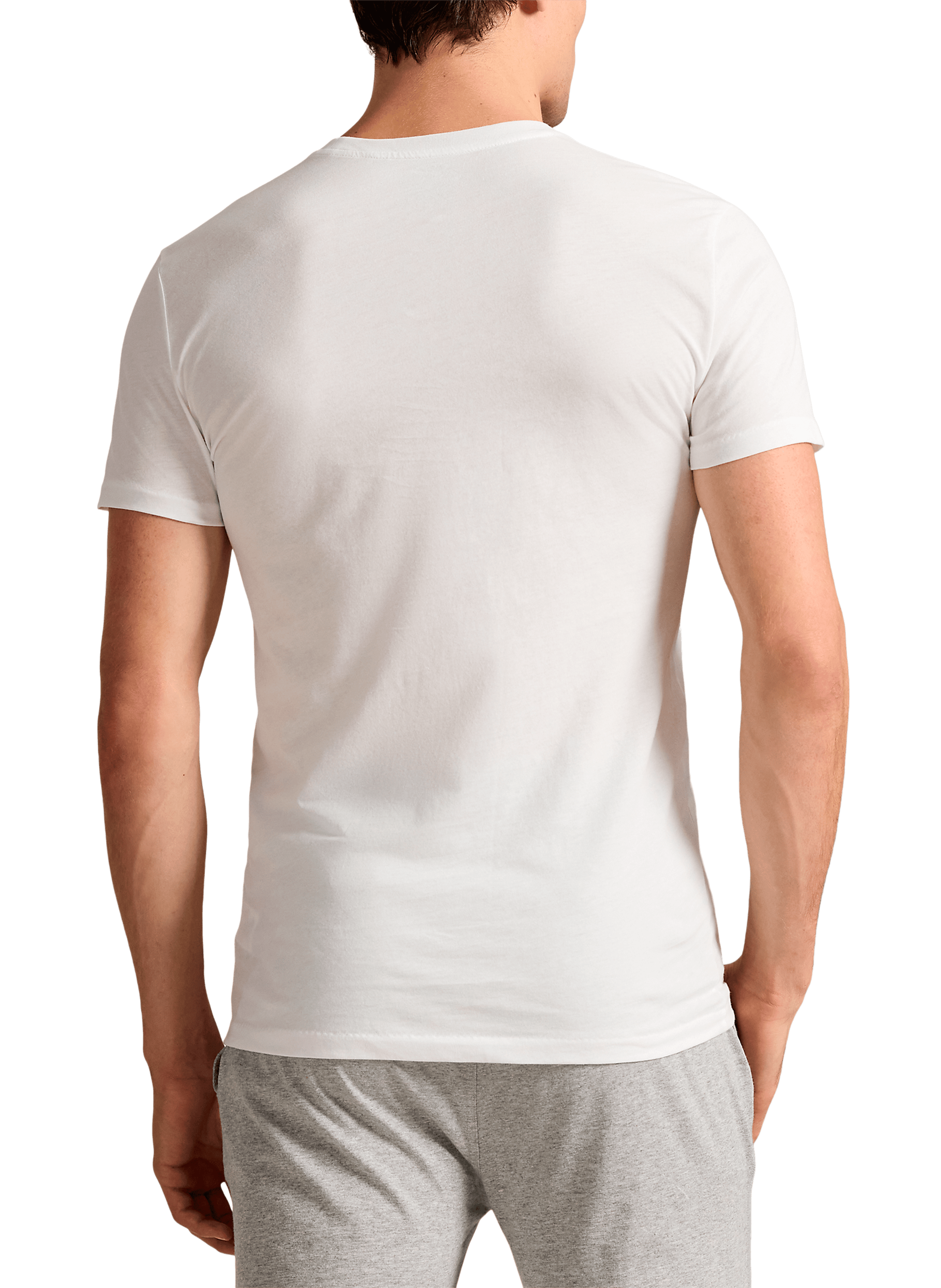 Lot de 3 t-shirt en coton POLO RALPH LAUREN Multicolore