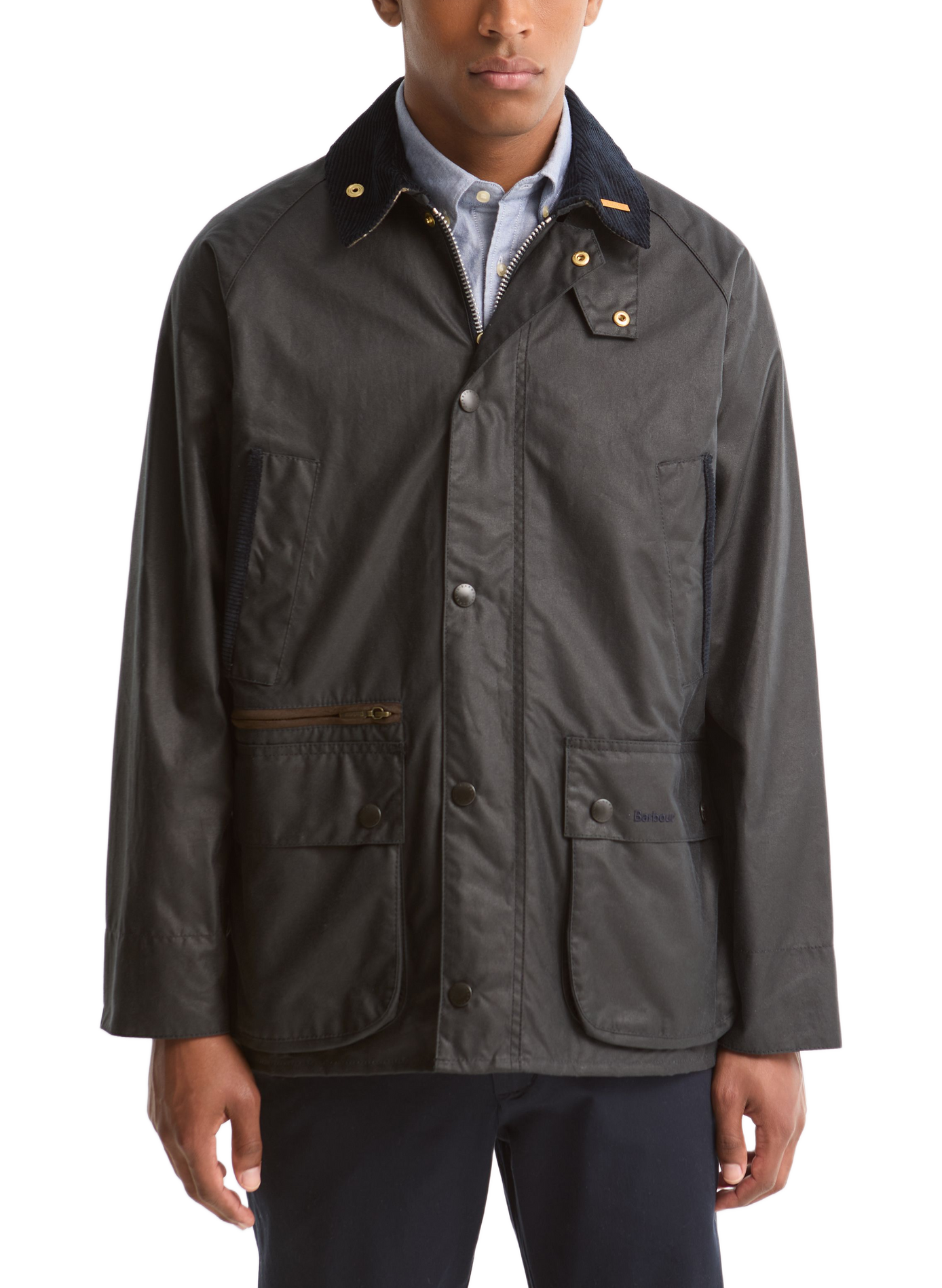 Veste col montant en coton BARBOUR Bleu