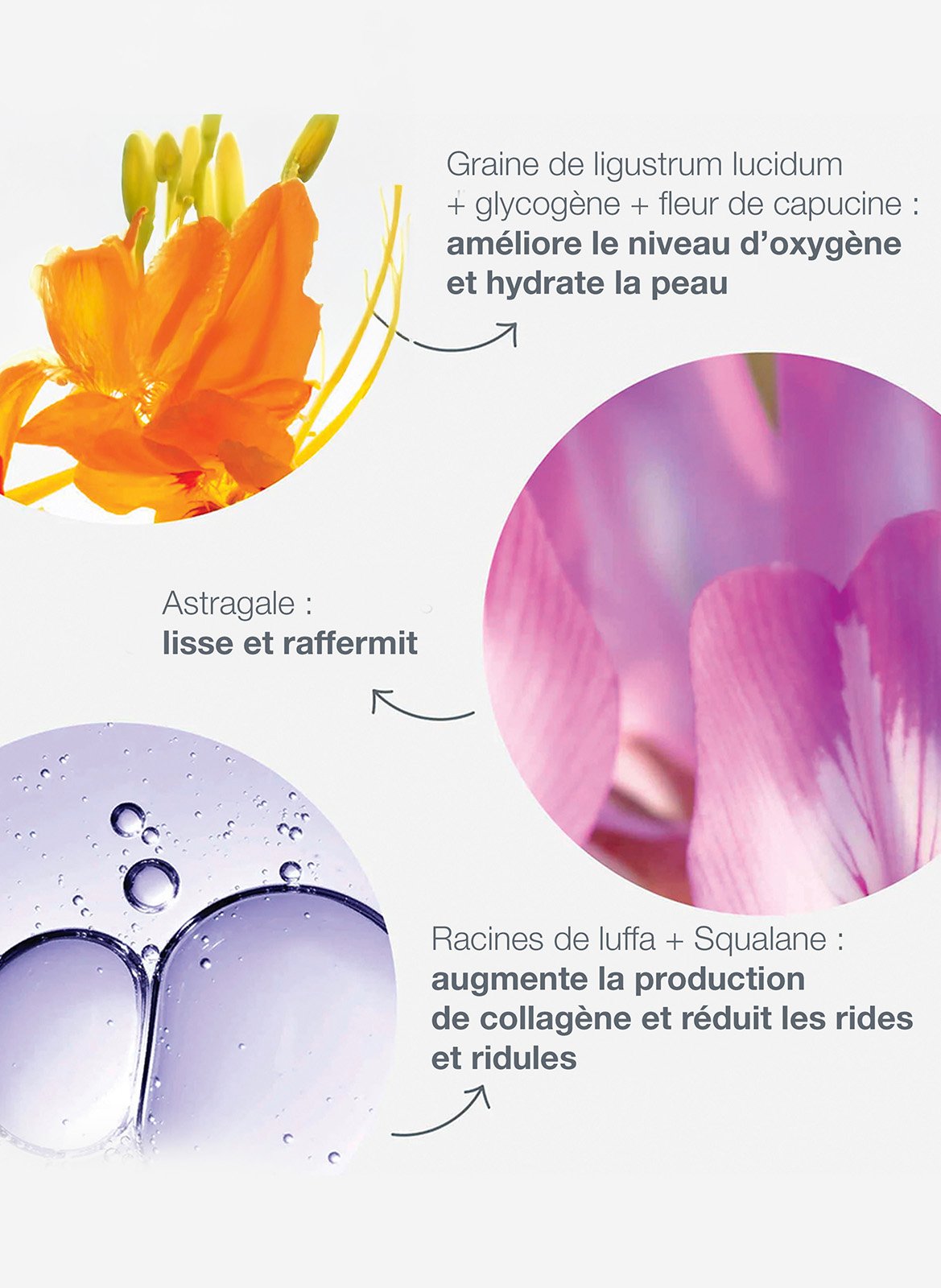 Phyto Nature Oxygen Cream DERMALOGICA No color