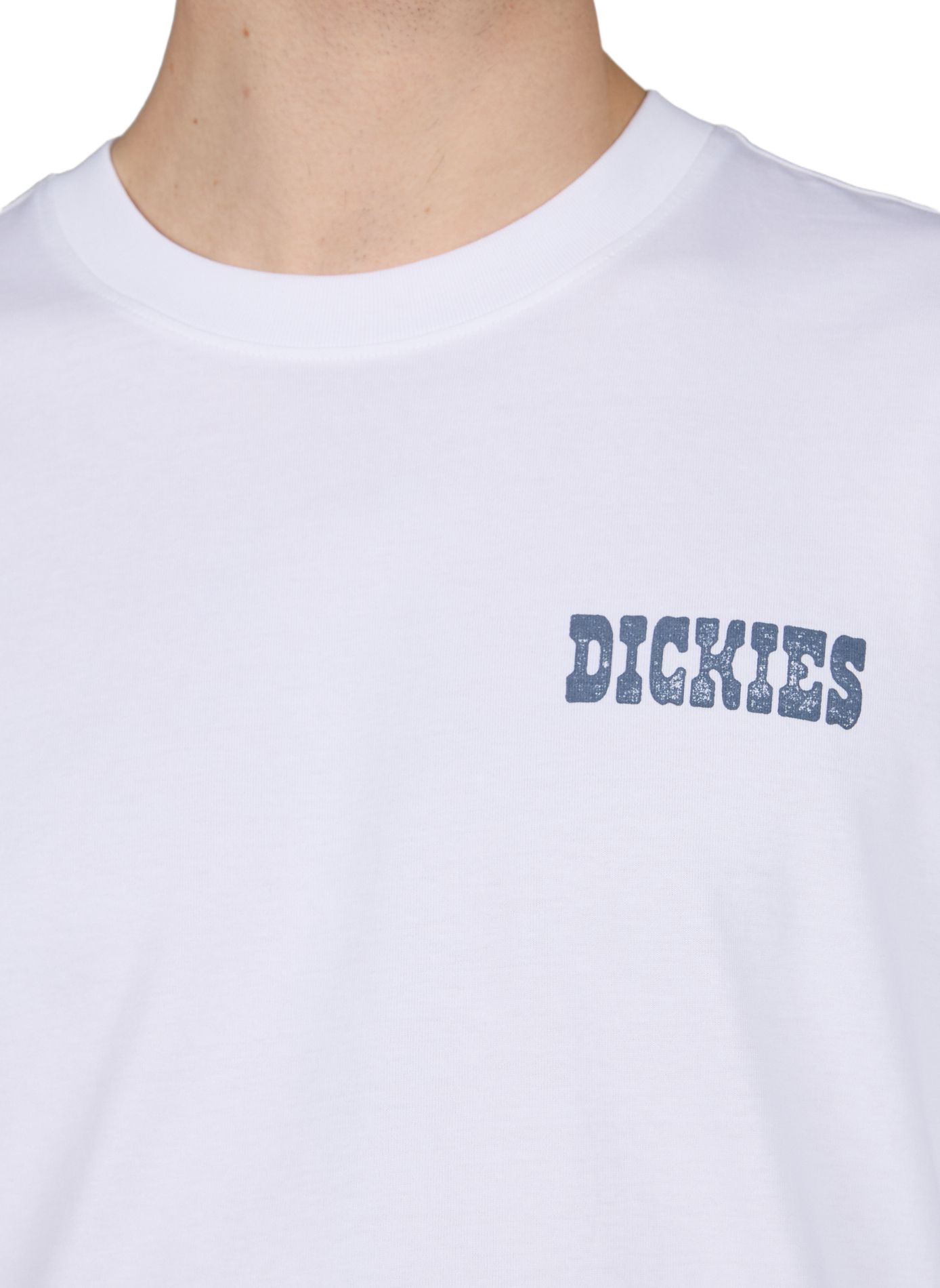 Oversized cotton screen-printed T-shirt DICKIES White