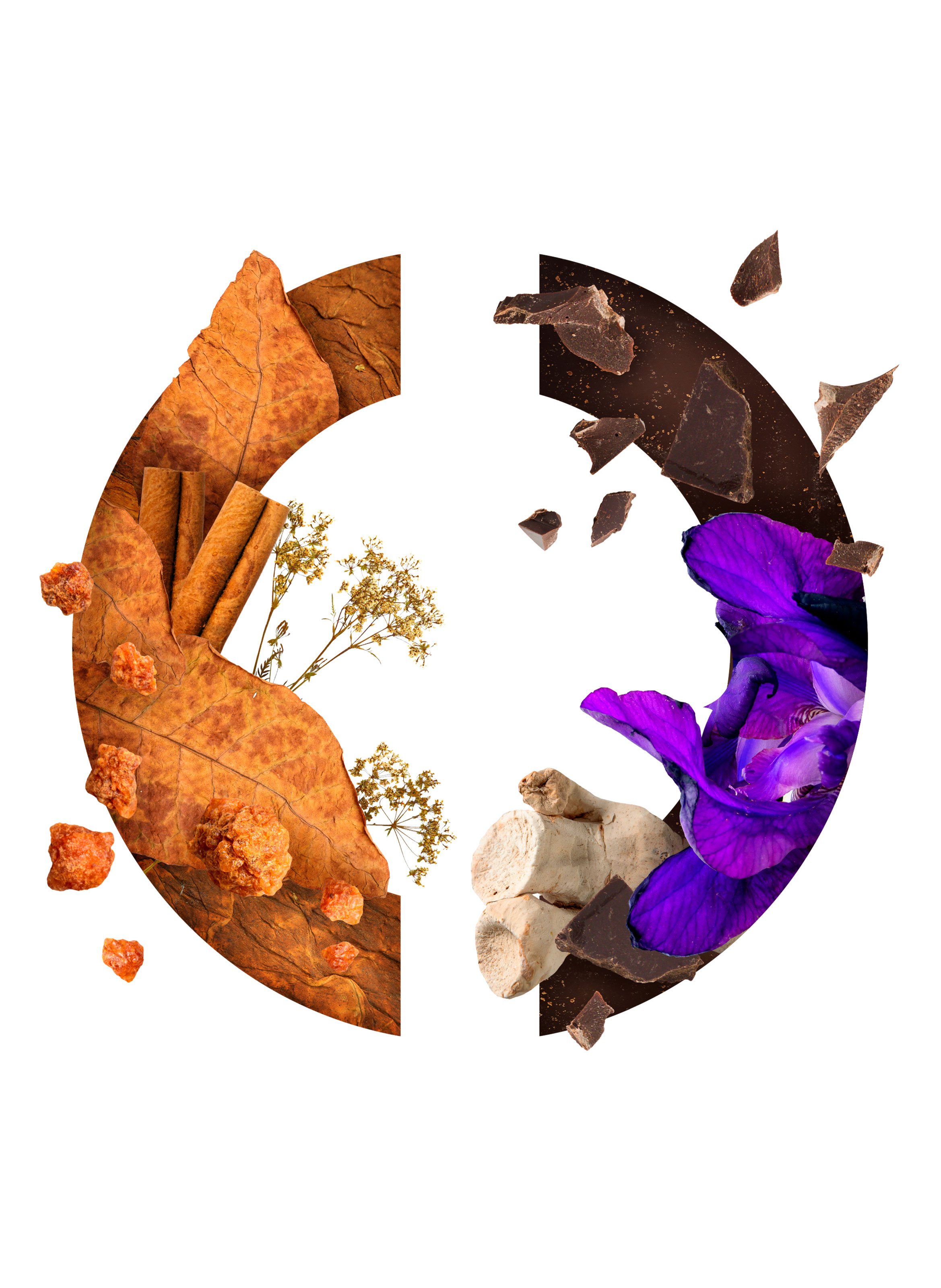 Eau de parfum - Tabac Exquis CARON No color