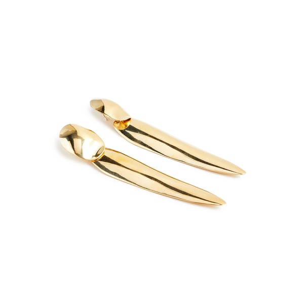 Boucles d'oreille en argent