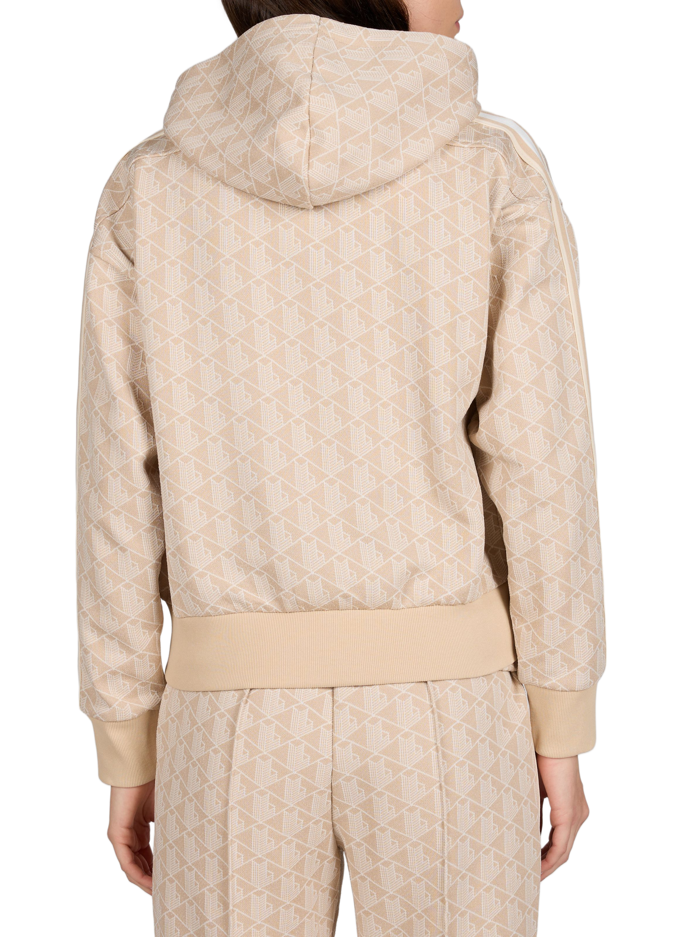 Sweatshirt à motif LACOSTE Multicolore