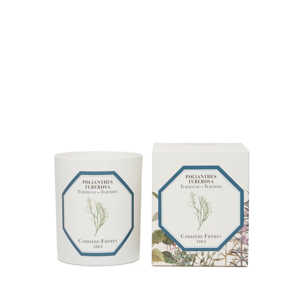 Bougie Parfumée Tubéreuse - Polientes Tuberosa - 185 g