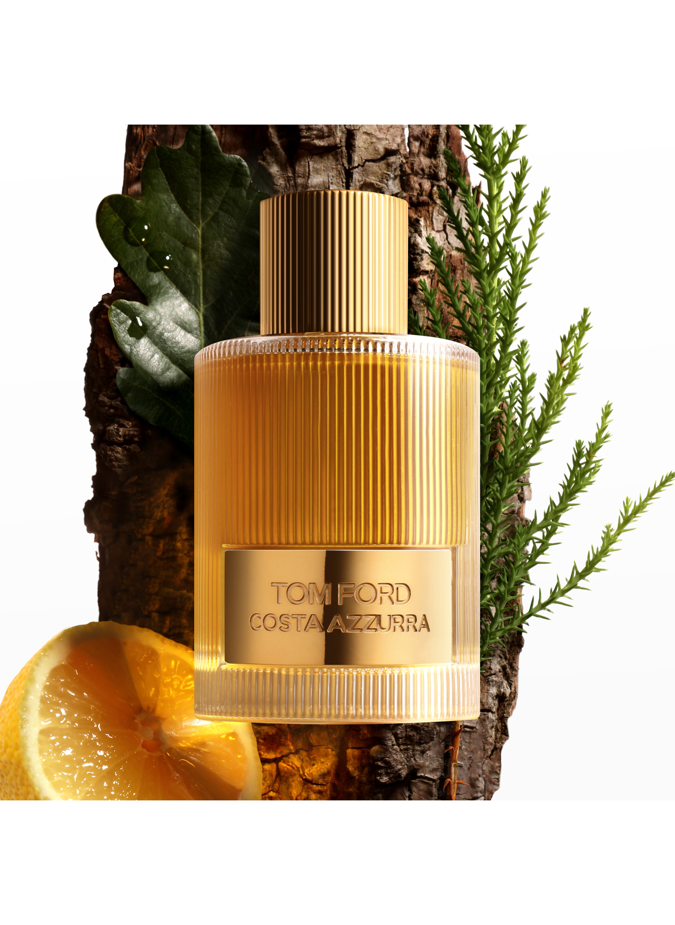 Costa Azzura Eau de Parfum TOM FORD No color