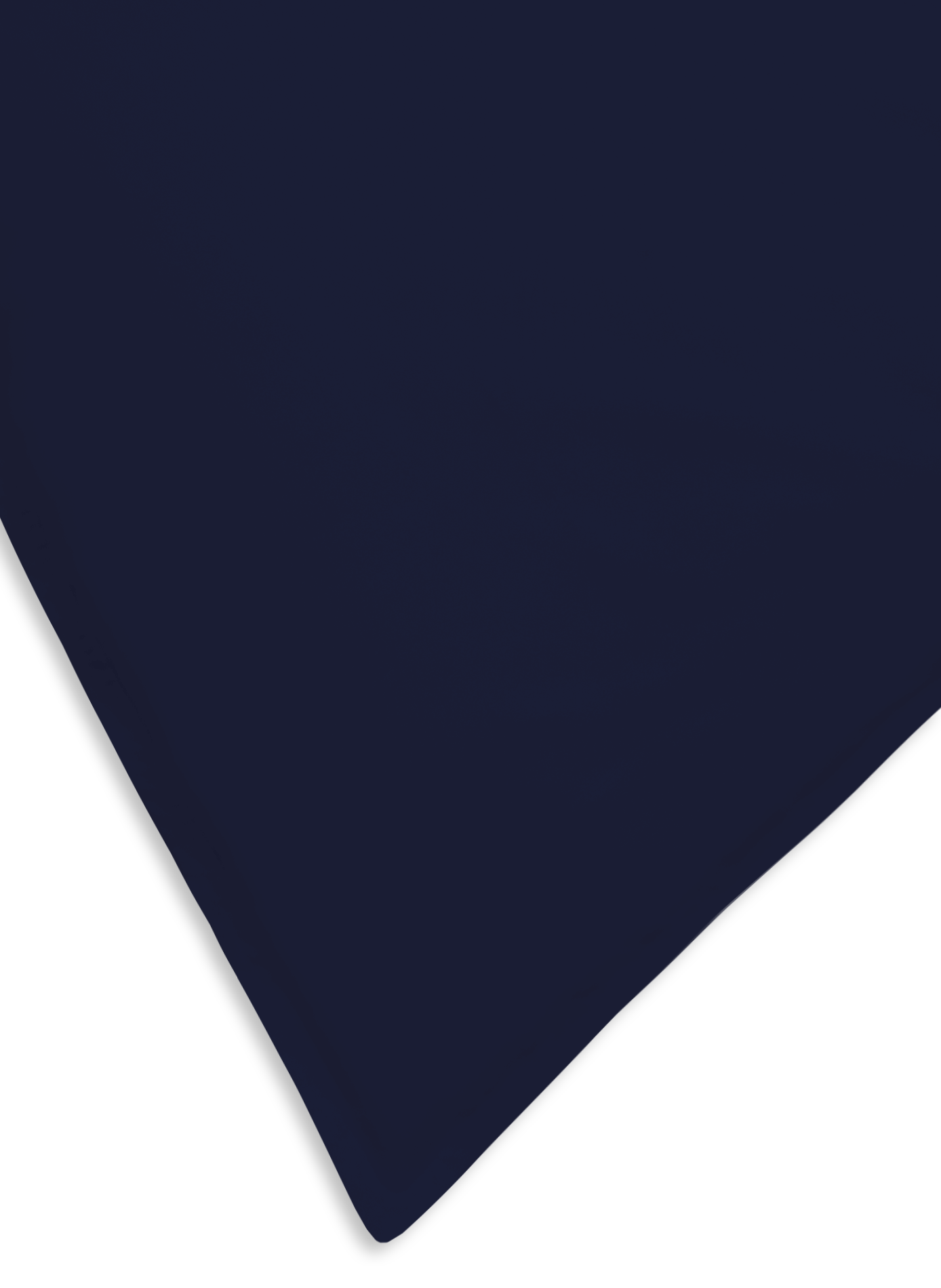 Cotton percale pillowcase AU PRINTEMPS PARIS Blue