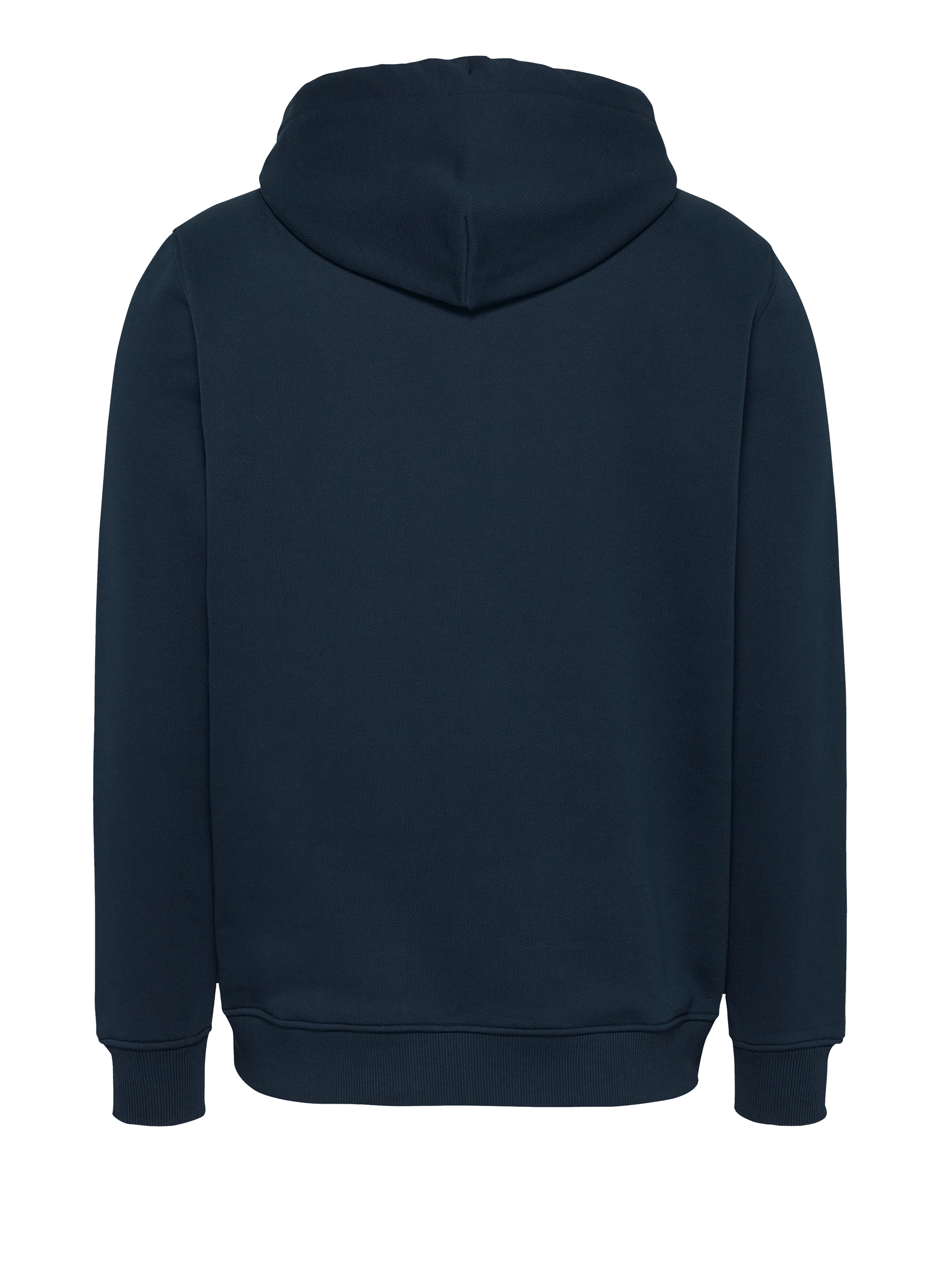 Cotton hoodie TOMMY HILFIGER Blue