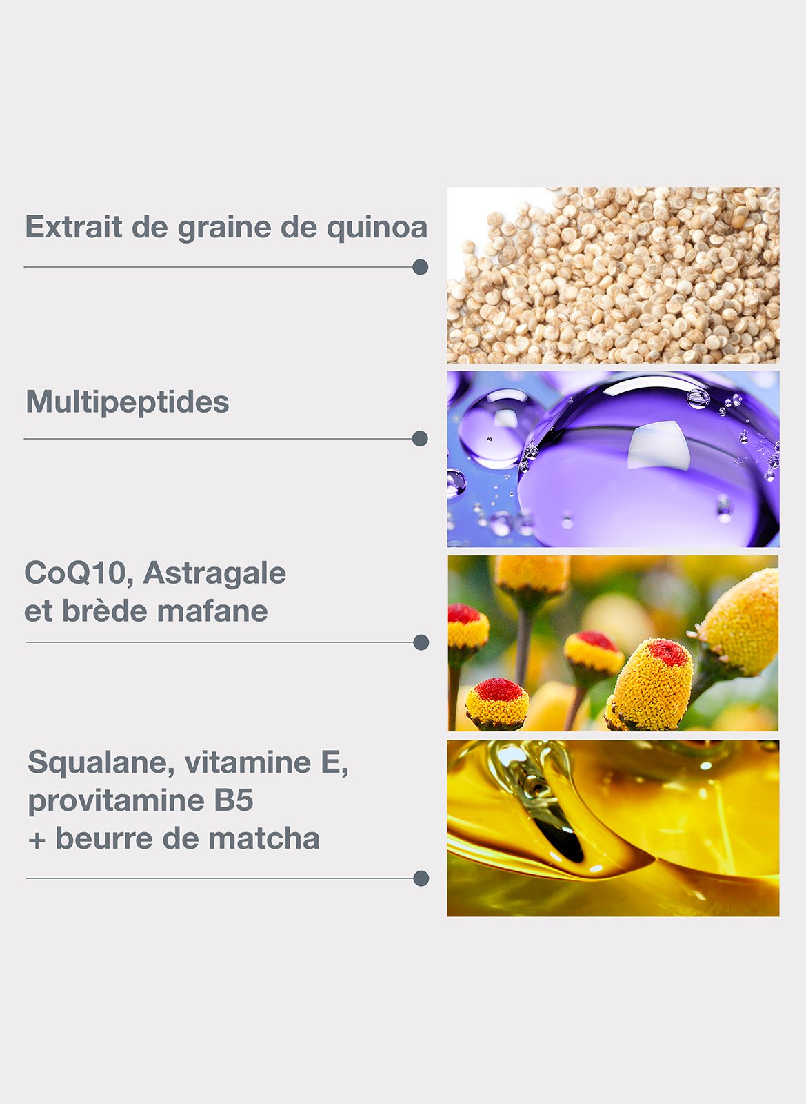 Phyto Nature Lifting Eye Cream DERMALOGICA No color