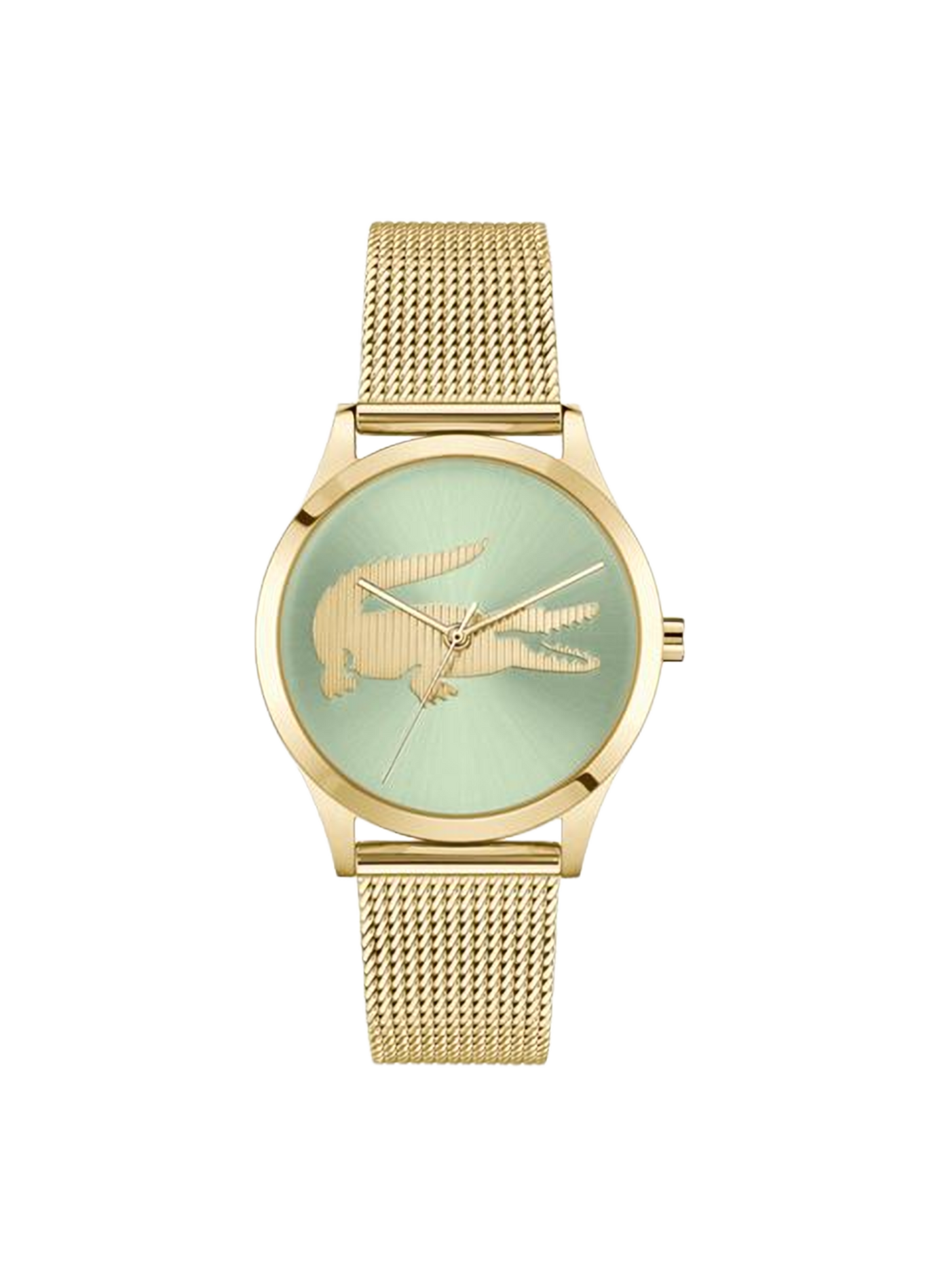 Montre quartz Crocodelle en acier inoxydable LACOSTE MONTRES Vert