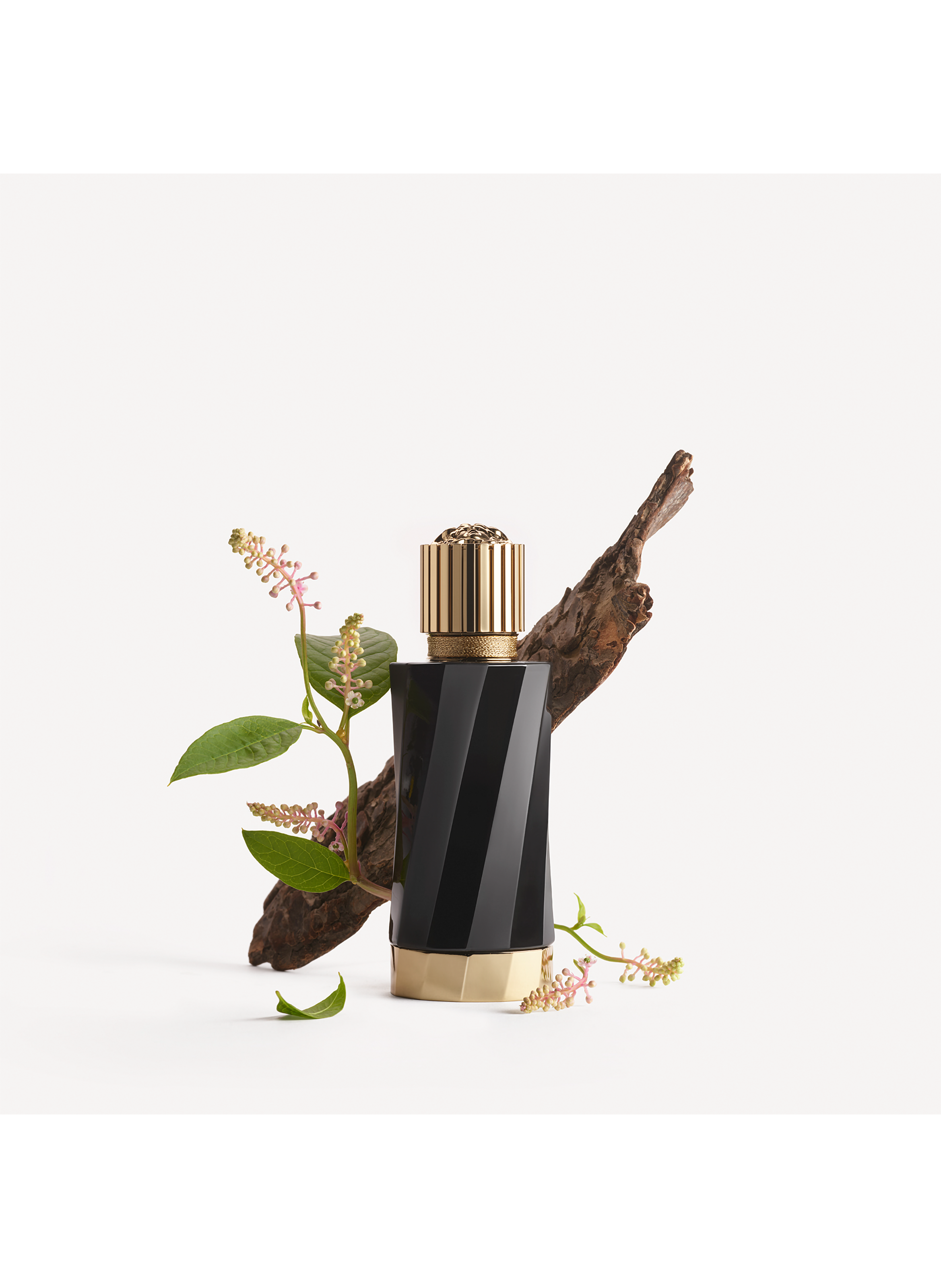 Atelier Versace Fleur de Maté VERSACE No color