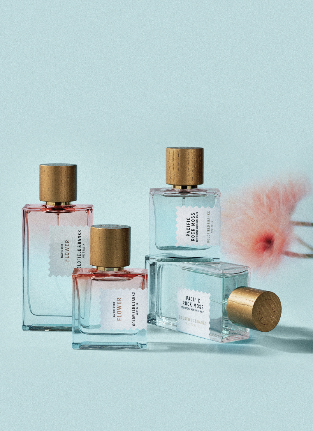 https://media-cdn.printemps.com/image/79/2/9160792.png