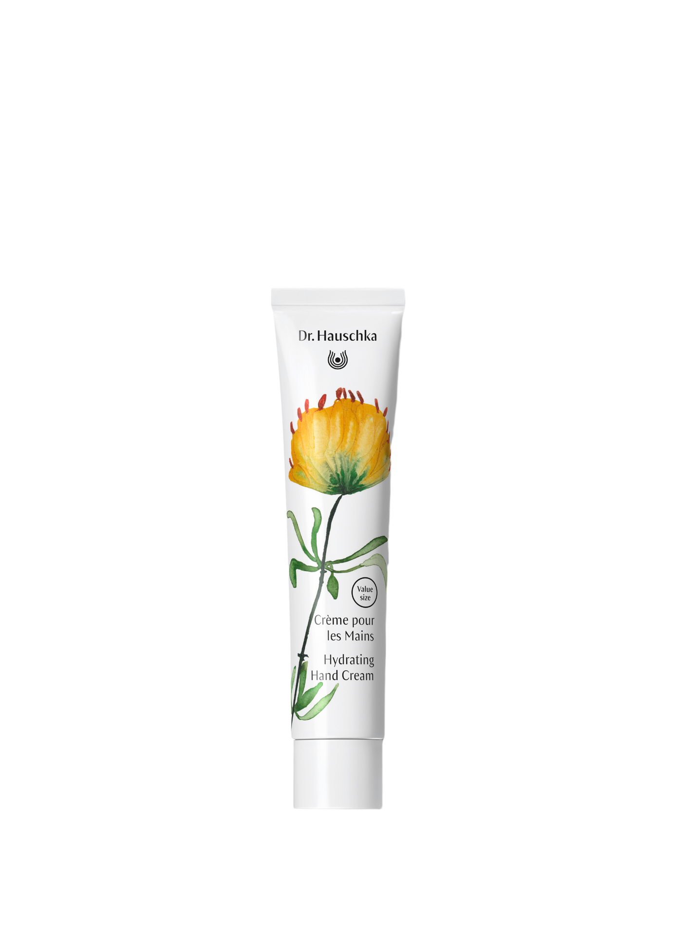 Crème pour les Mains - Édition Limitée 2026 DR HAUSCHKA No color