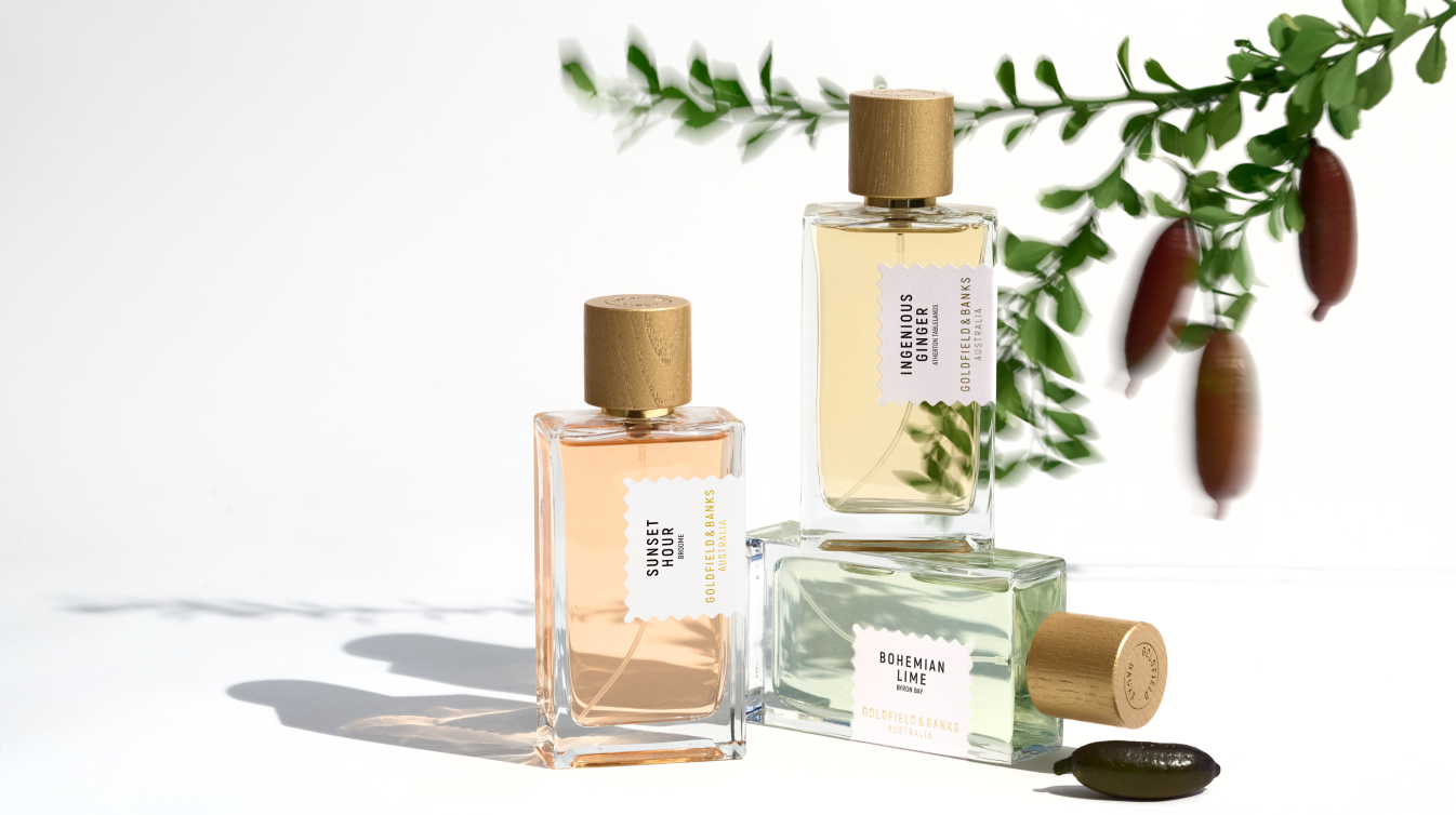https://media-cdn.printemps.com/image/79/3/9160793.png