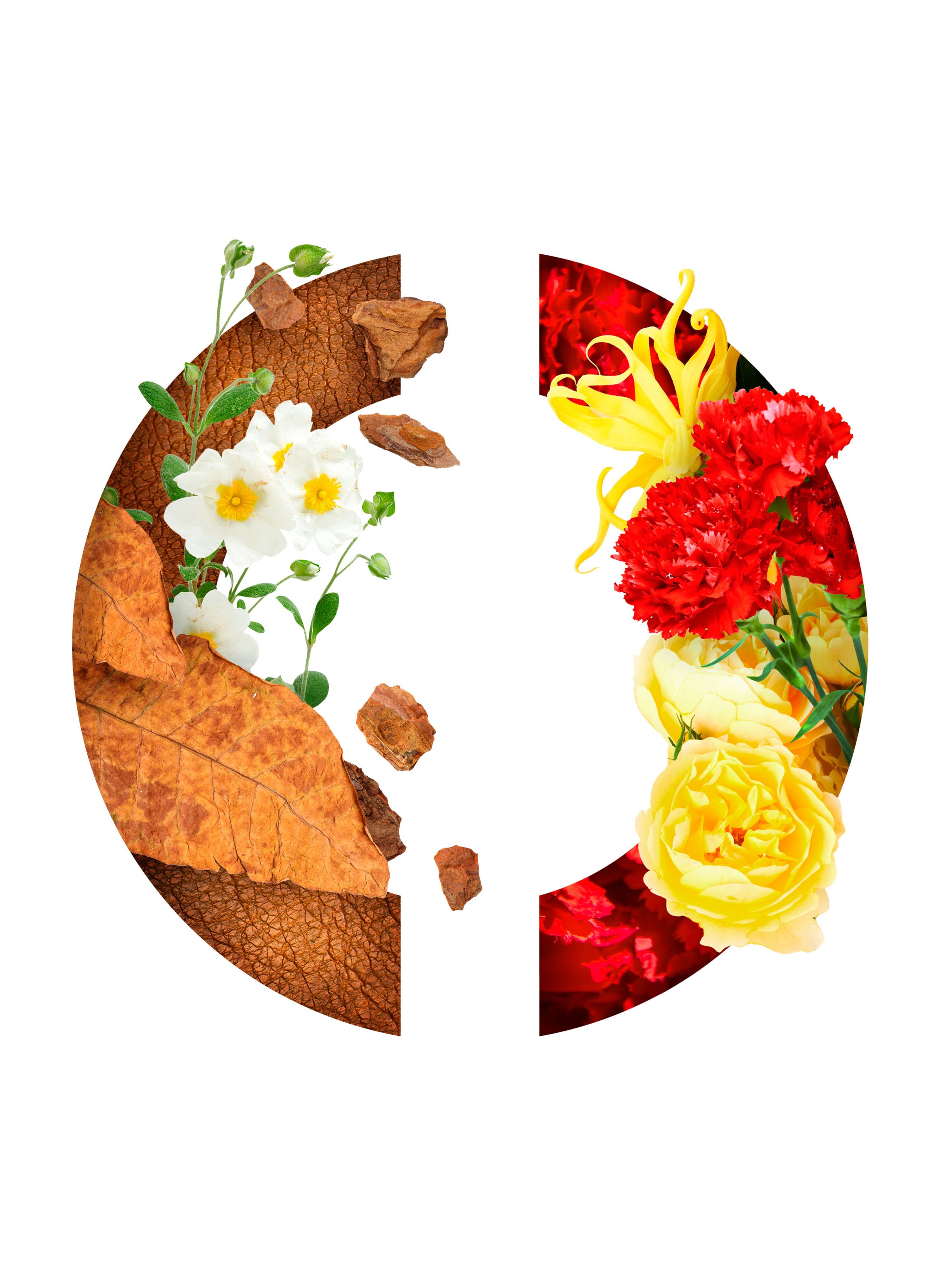 Eau de Parfum - Tabac Blond CARON No color